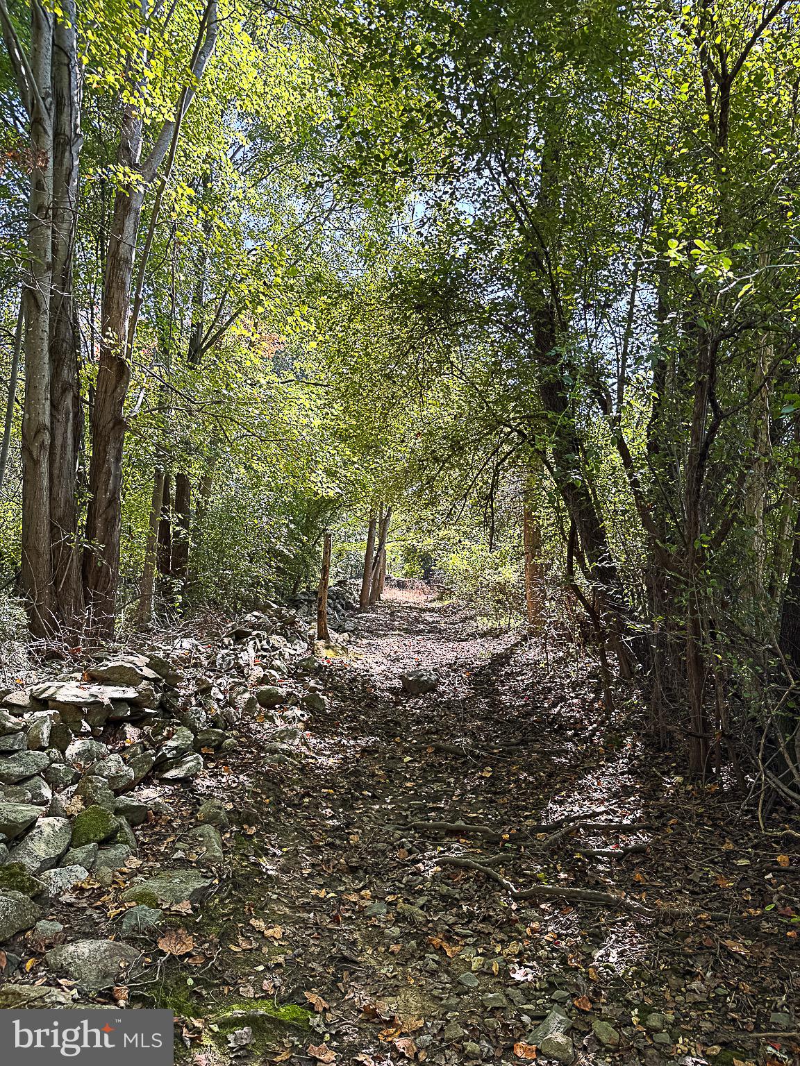 BIRCH HOLLOW HAMLET - Residential