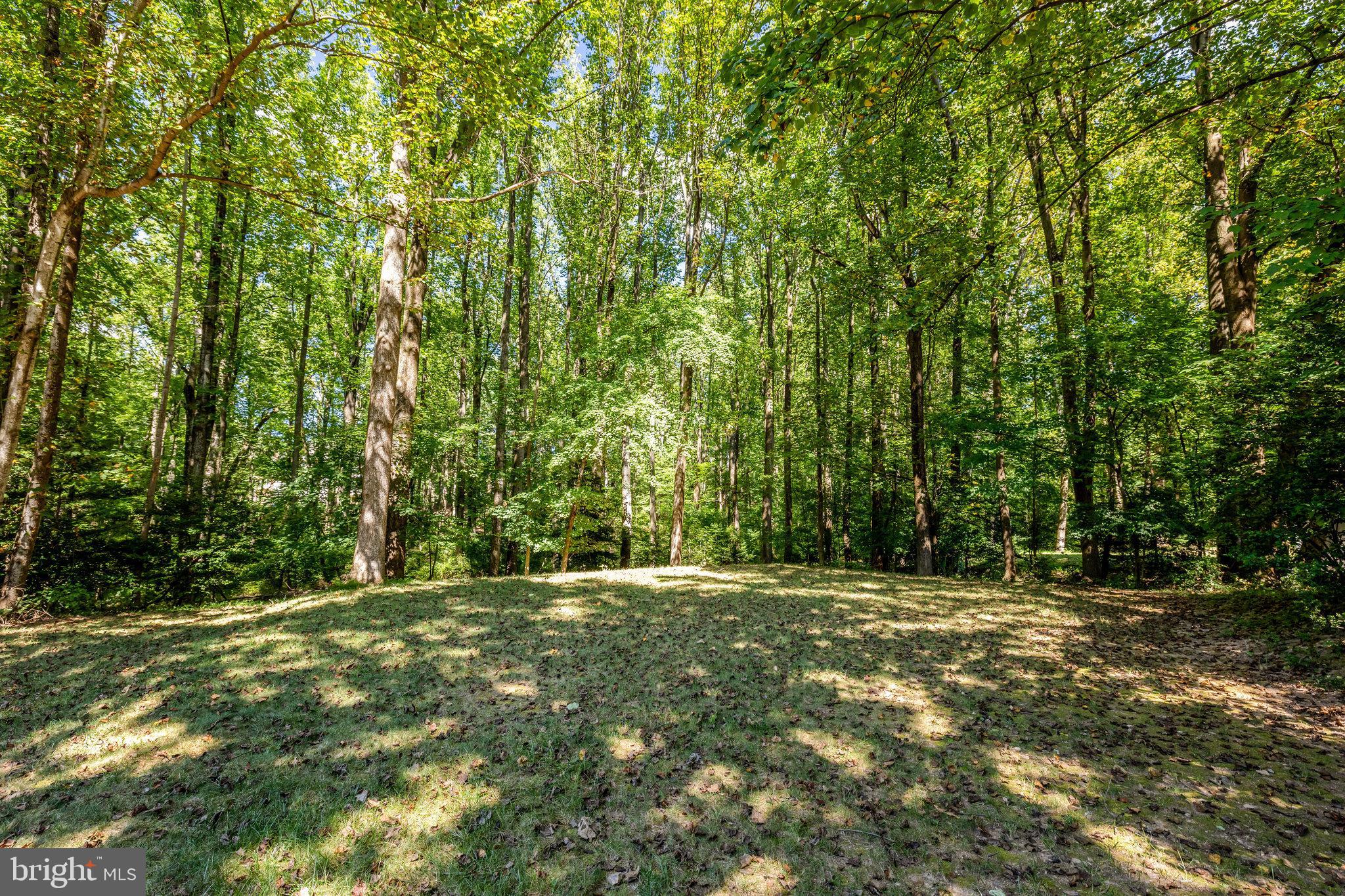 HOLLY KNOLL - Residential