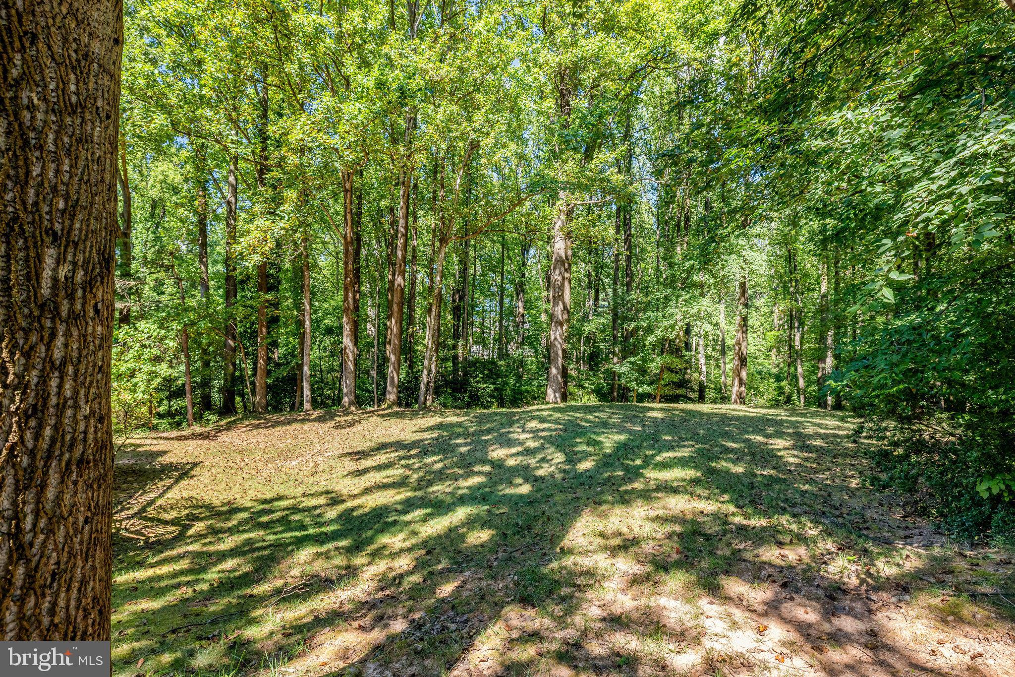 HOLLY KNOLL - Residential