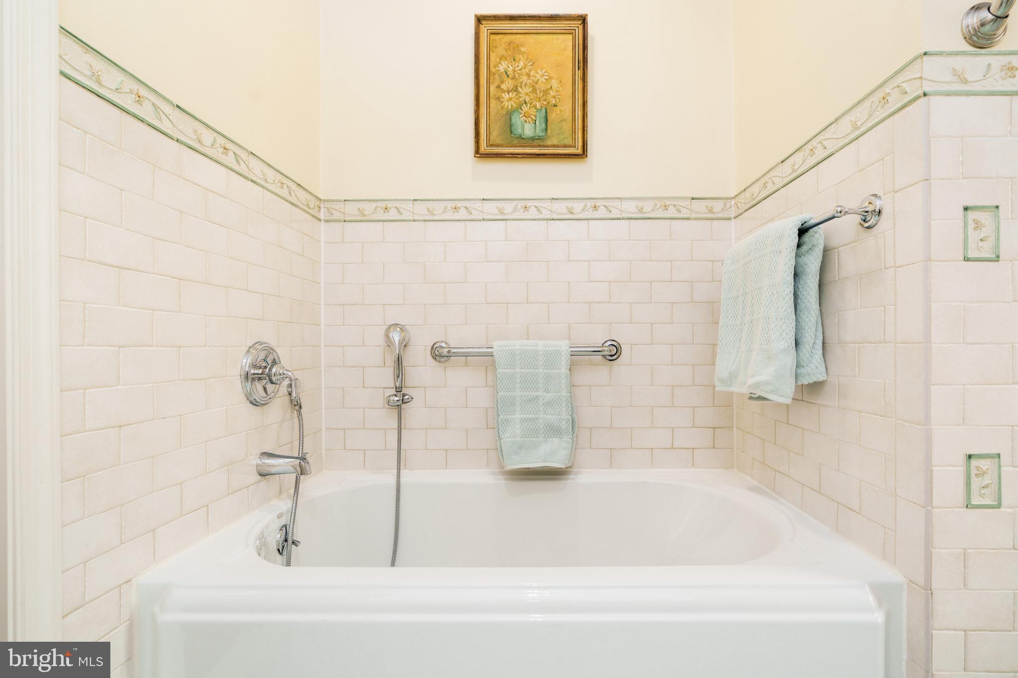 THE MEADOWS OF GREEN SPRING - Residential