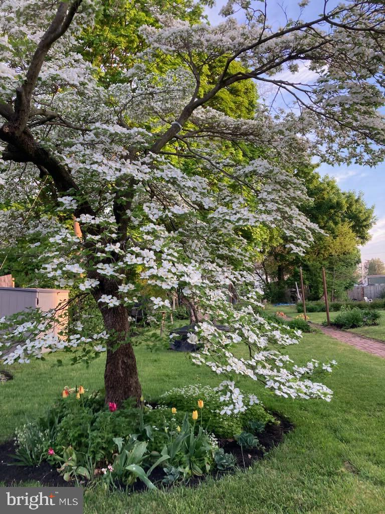 MIDDLETOWN BOROUGH - Residential