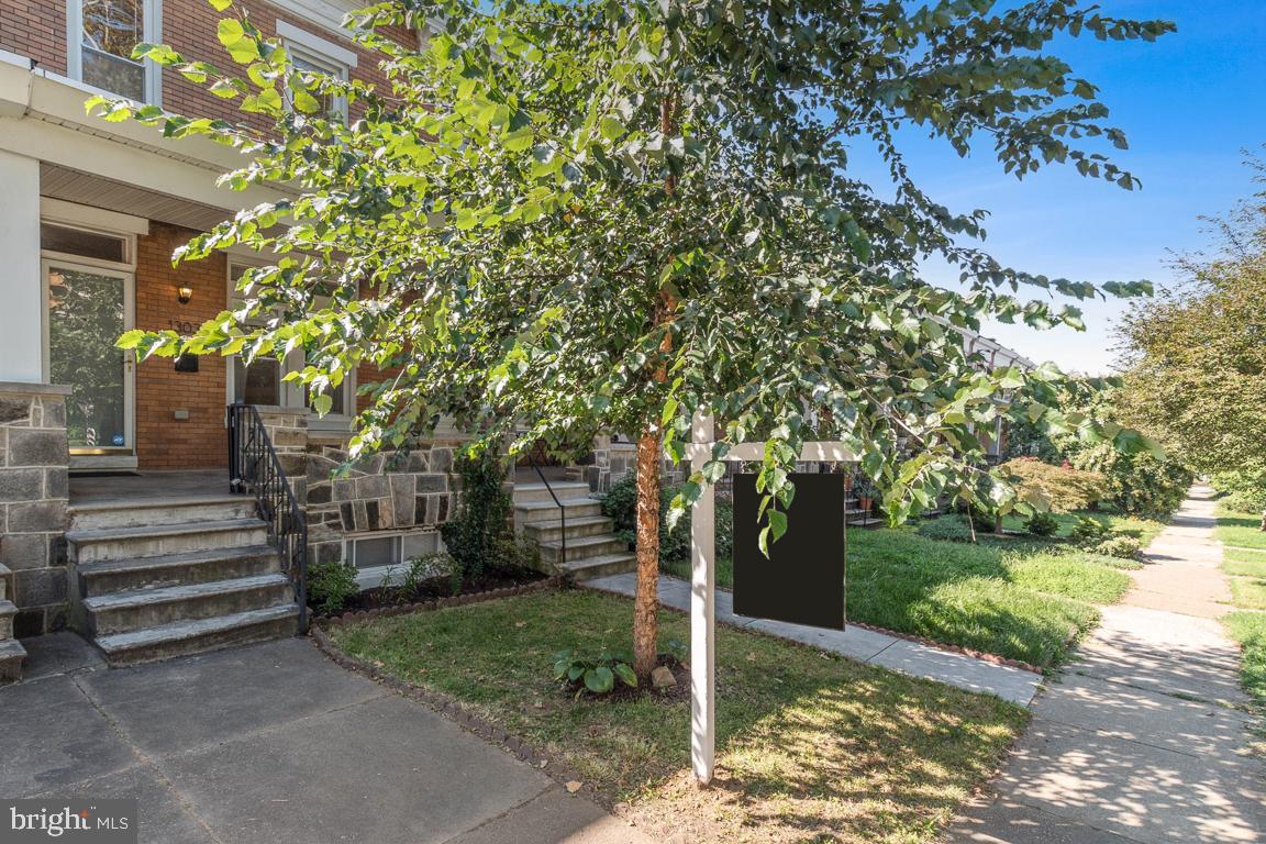 HAMPDEN HISTORIC DISTRICT - Residential