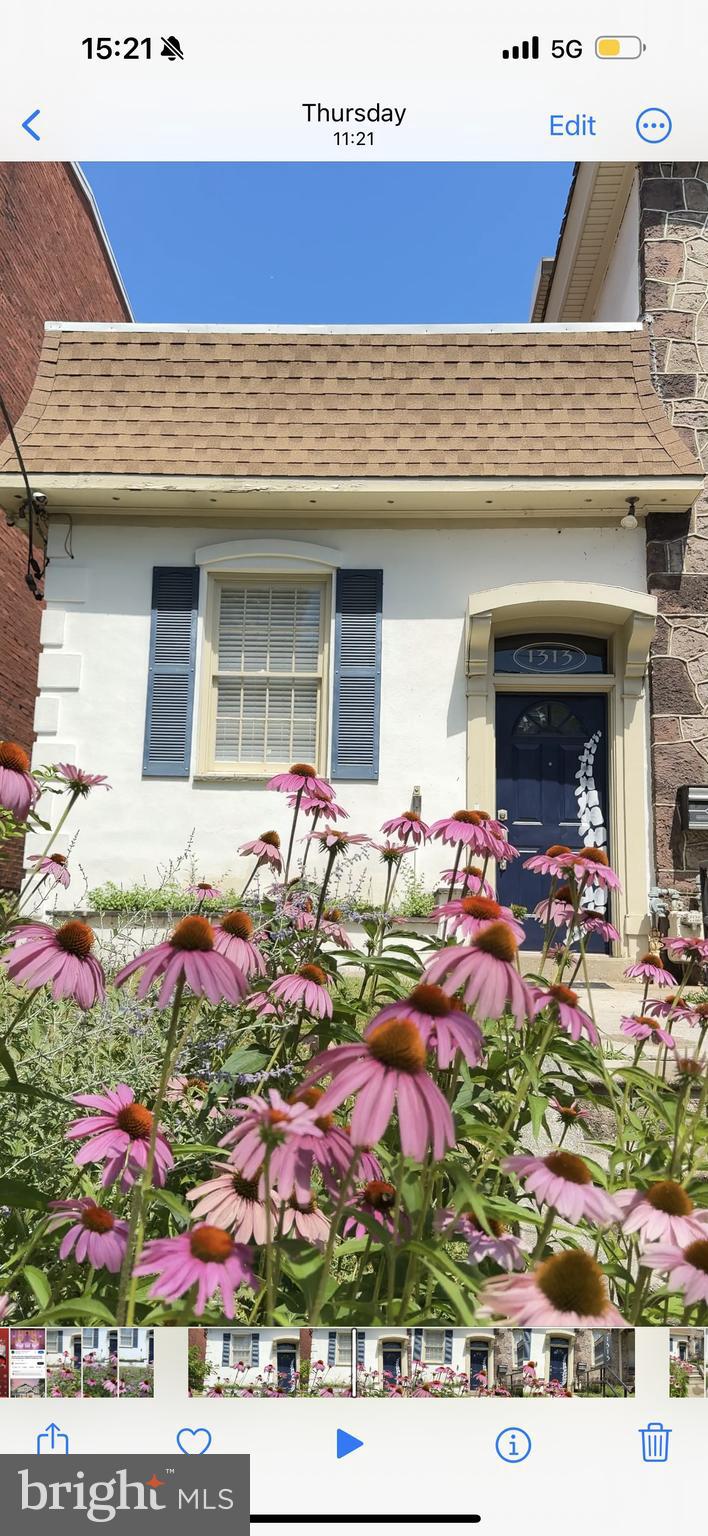 1313 DEKALB STREET
