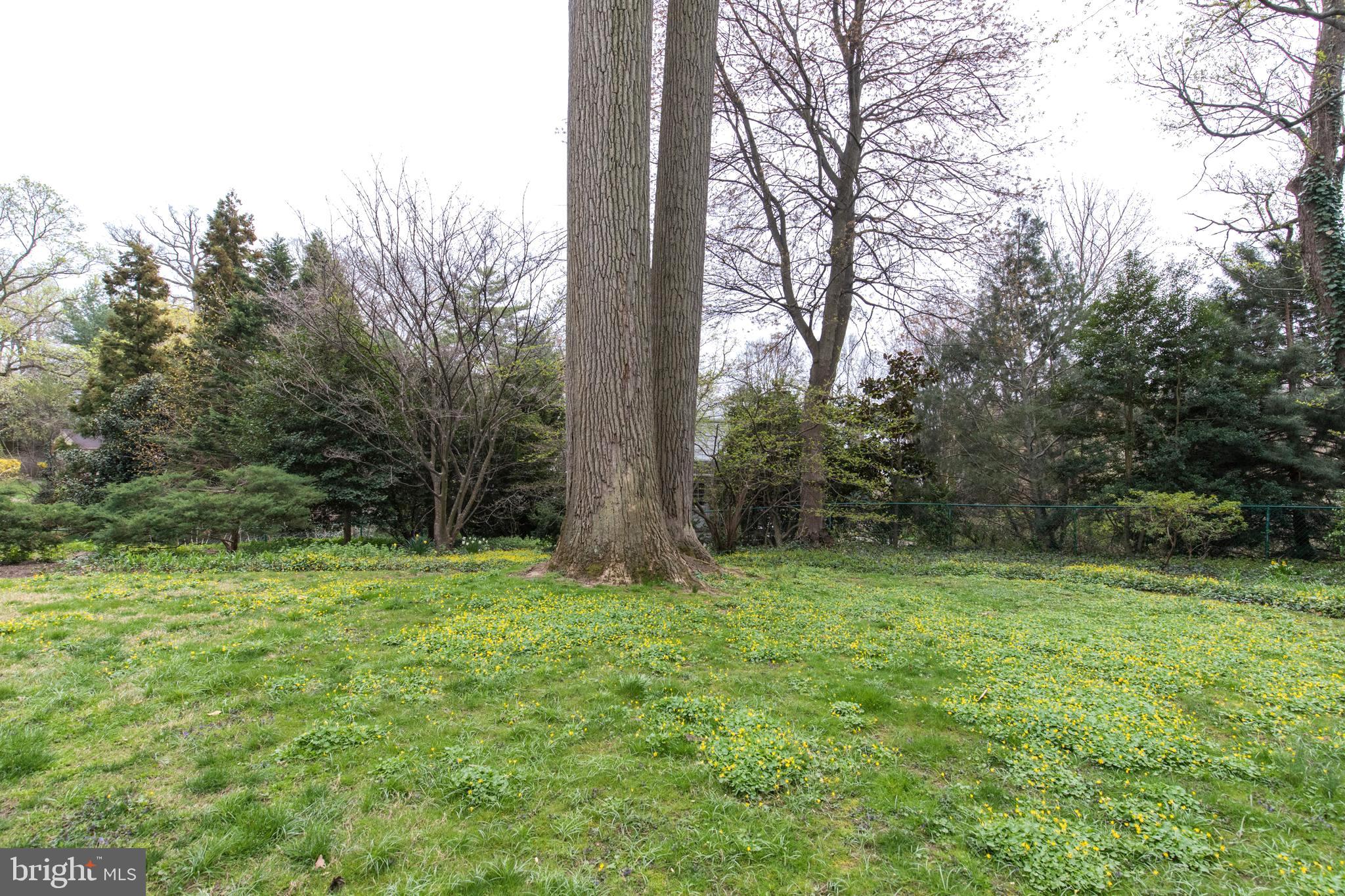 WYNWOOD ESTS - Residential