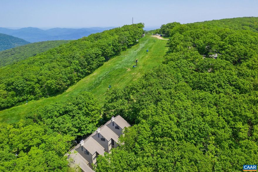 In the heart of Blackrock Village, overlooking the Eagle Swoop Ski Slope and Blue Ridge mountains beyond this highly sought after top floor 3 Bedroom is the one you?ve been waiting for. Beautifully updated with new flooring, granite counters, appliances, stone fireplace, painting , bathroom fixtures, fresh paint and handsome furnishings thru out you can move in right in and begin enjoying all that Wintergreen has to offer! You won?t believe how much cooler the summers are at Wintergreen. Perfect for enjoying the miles of hiking trails, tennis, golf, pickleball, music festivals and evenings just relaxing on your open deck! Falls are glorious, the holidays magical and ski season so exciting! And with all the wineries, breweries, cideries, farmers markets, crafts fairs, and surrounding attraction to explore at your fingertips you will never want to leave!,Granite Counter,Painted Cabinets,Fireplace in Great Room