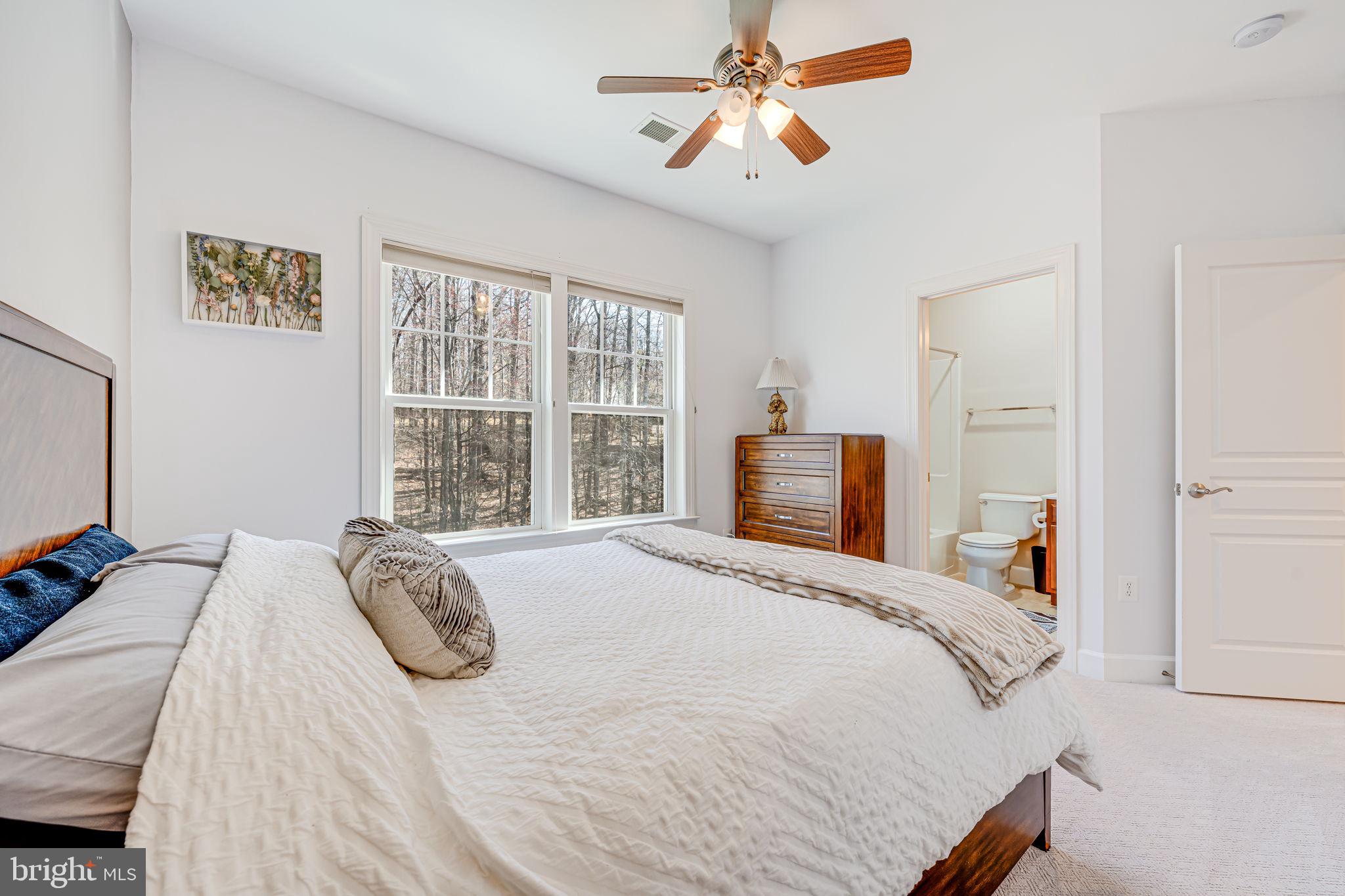 COLES RUN MANOR - Residential