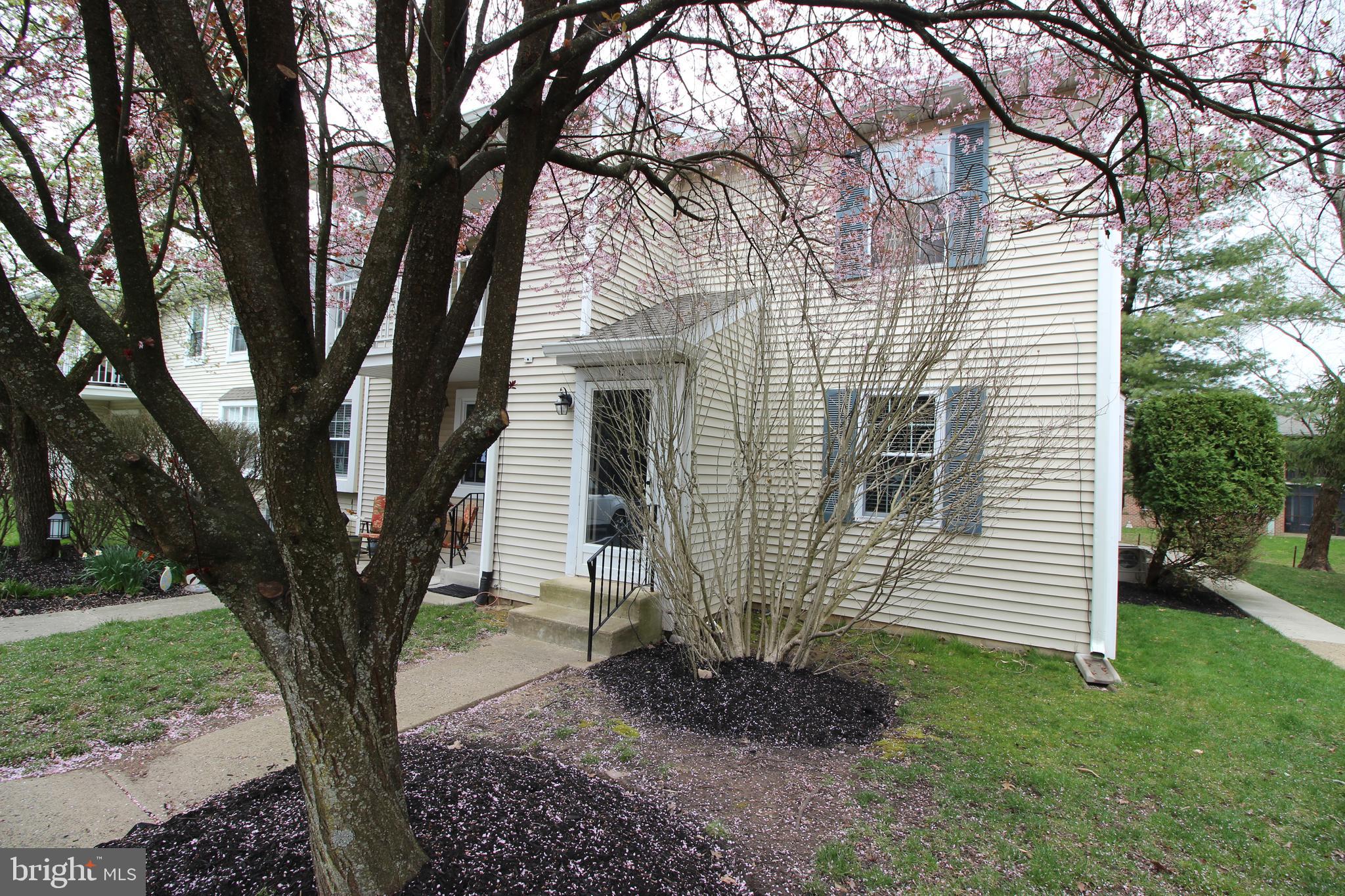 BELMONT STATION - Residential Lease