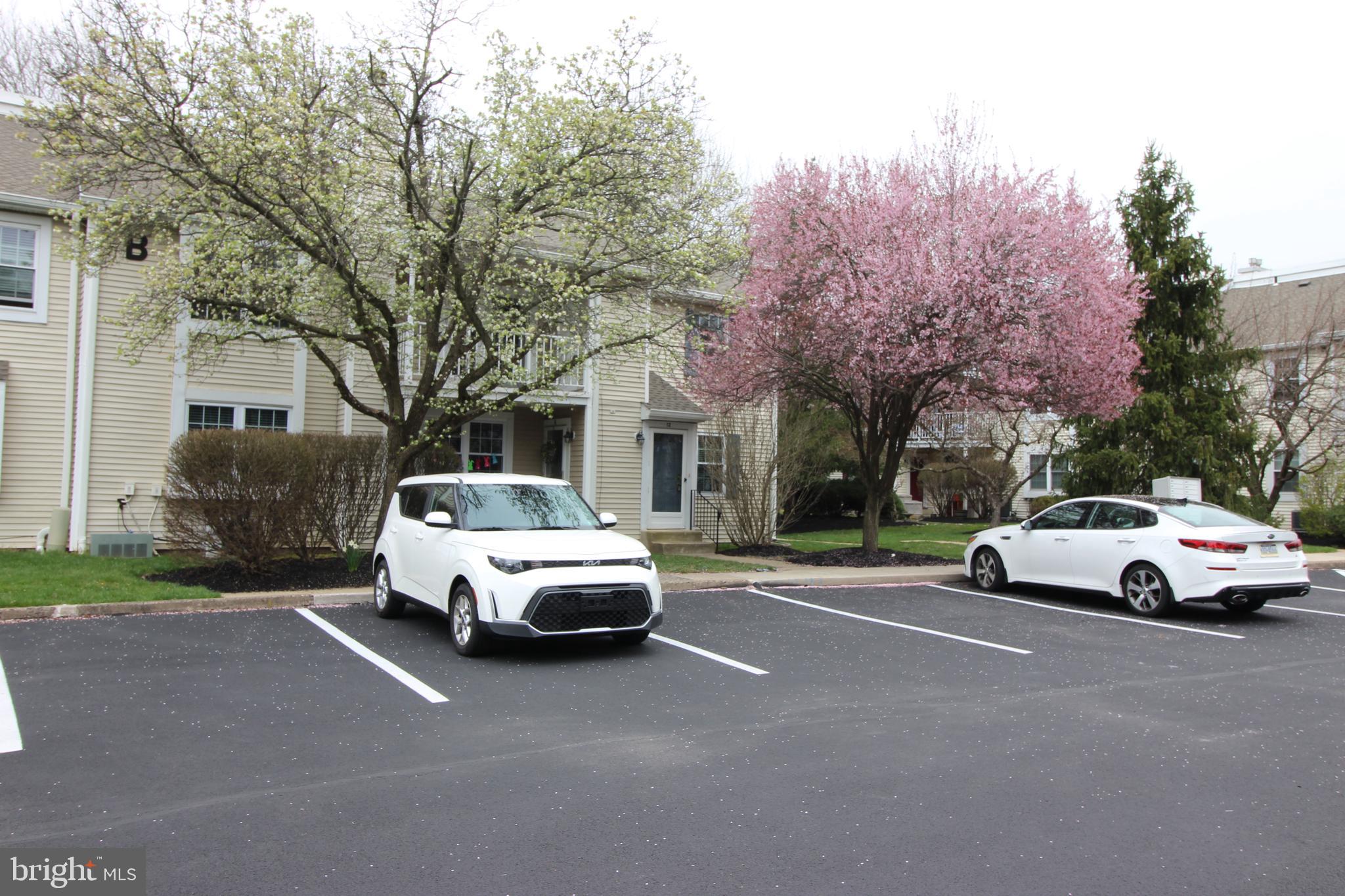 BELMONT STATION - Residential Lease