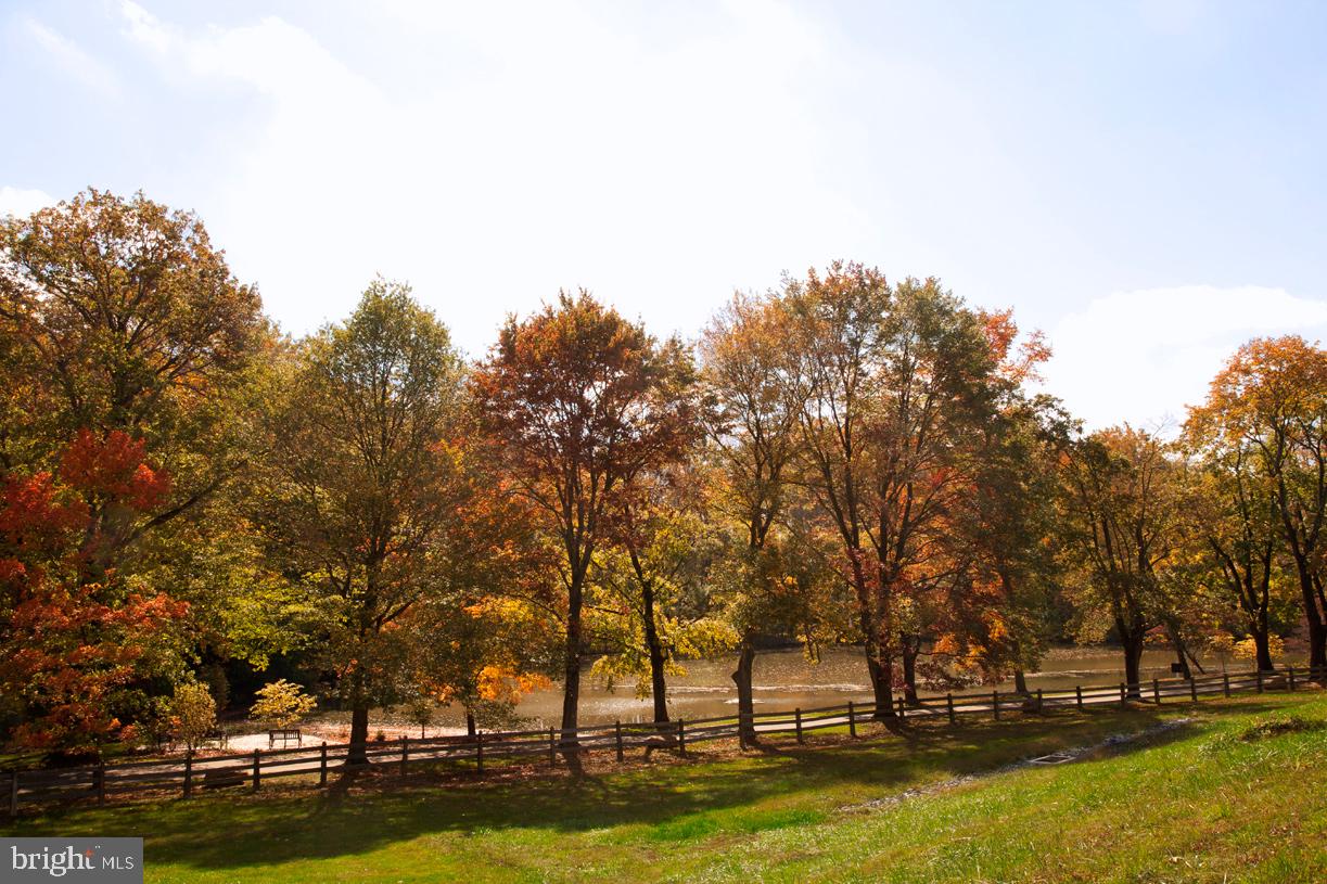 LISETER - Residential