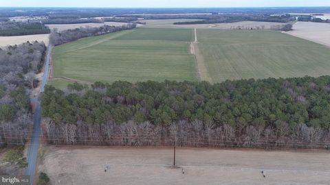 Photo of Bobtown Road, HURLOCK, MD 21643 (MLS # MDDO2011426)