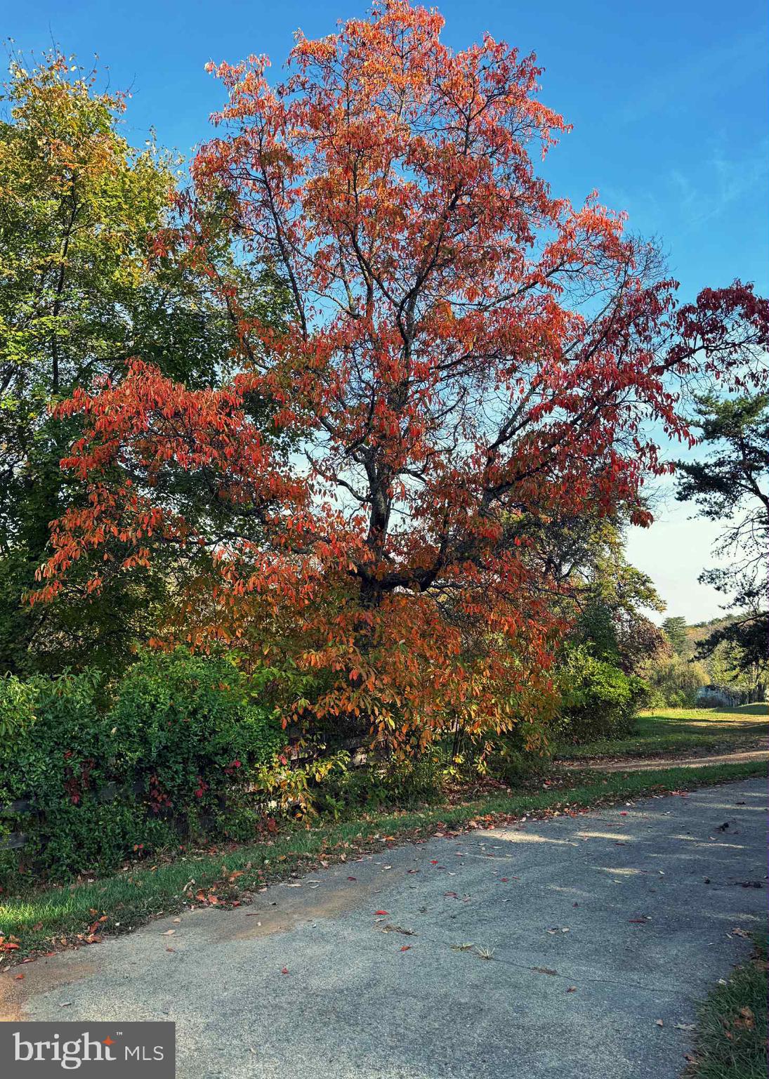 SEELY PINE ACRES - Residential