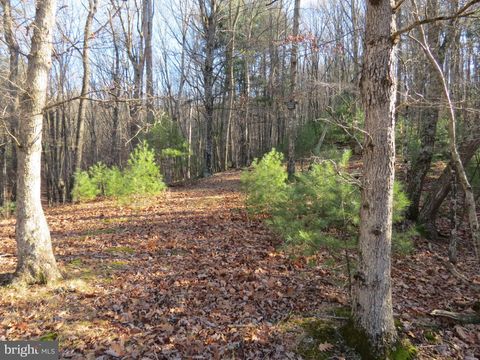 Vacant Land For Sale - 10 Cedarwood Drive Road<br/> MATHIAS, WV 26812