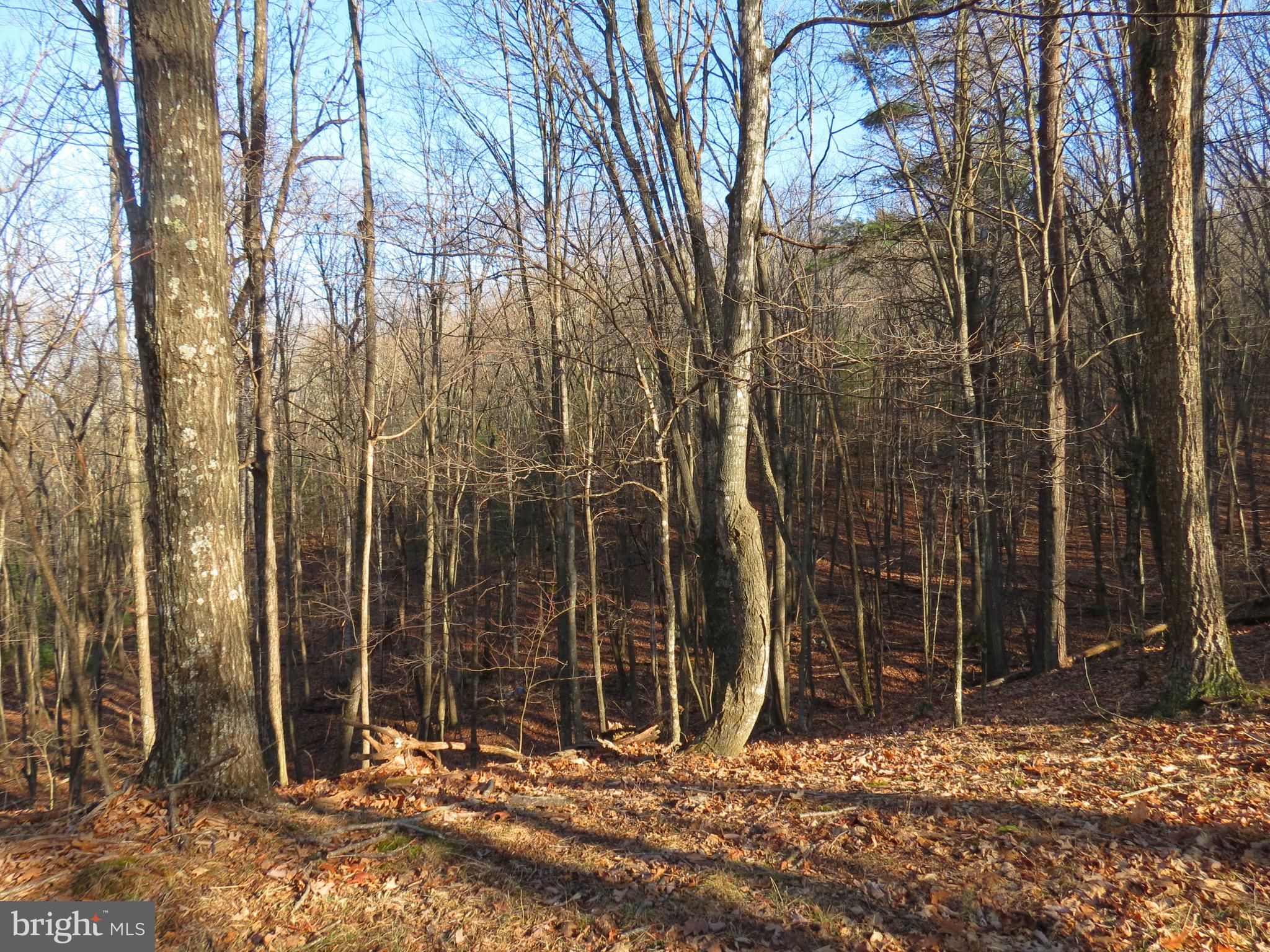 LOST RIVER MOUNTAIN SUBDIVISION - Land