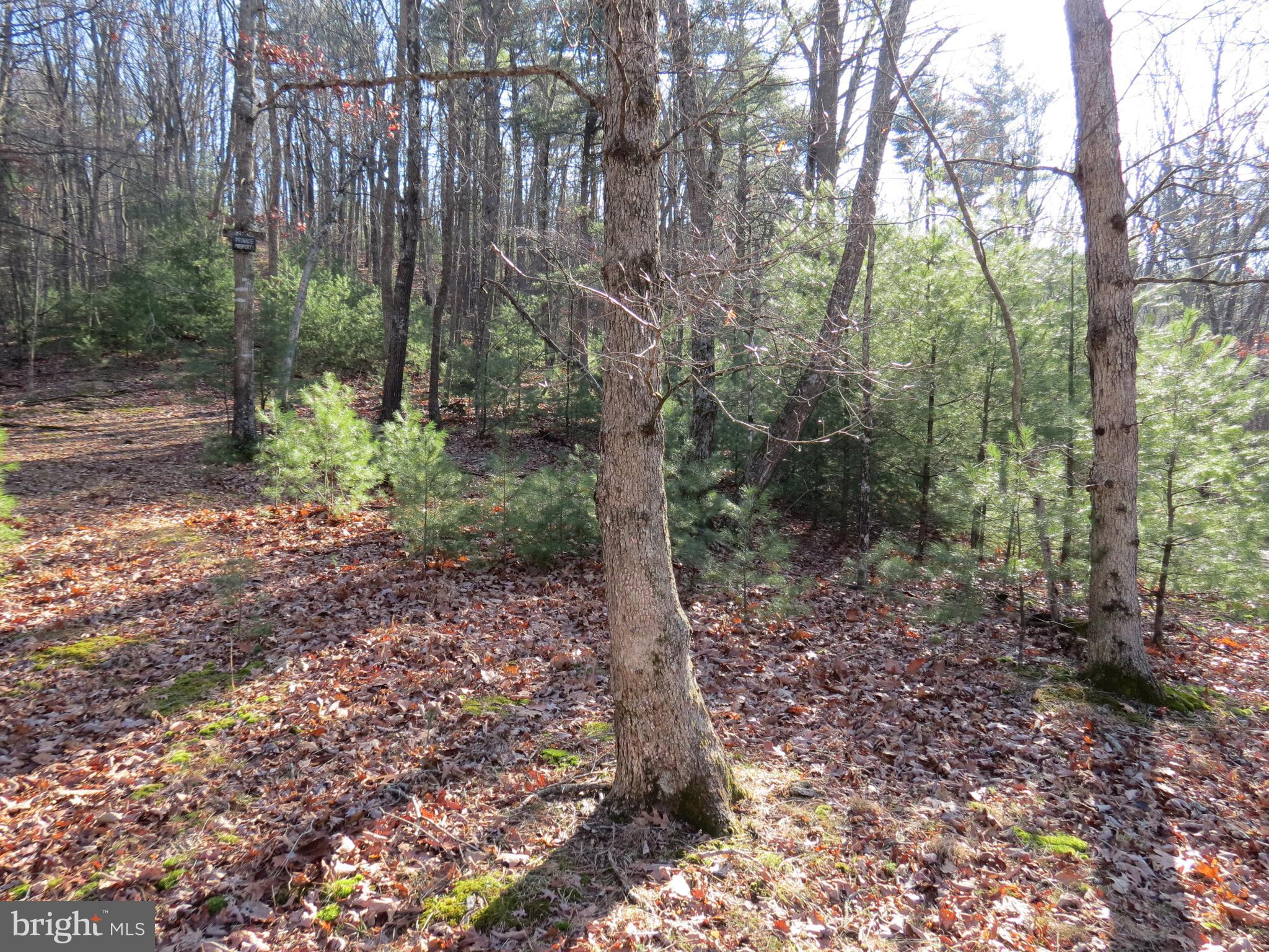 LOST RIVER MOUNTAIN SUBDIVISION - Land