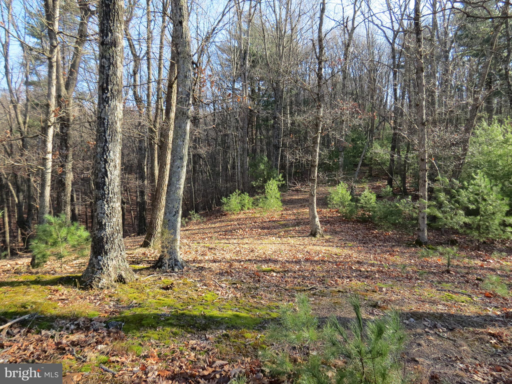 LOST RIVER MOUNTAIN SUBDIVISION - Land