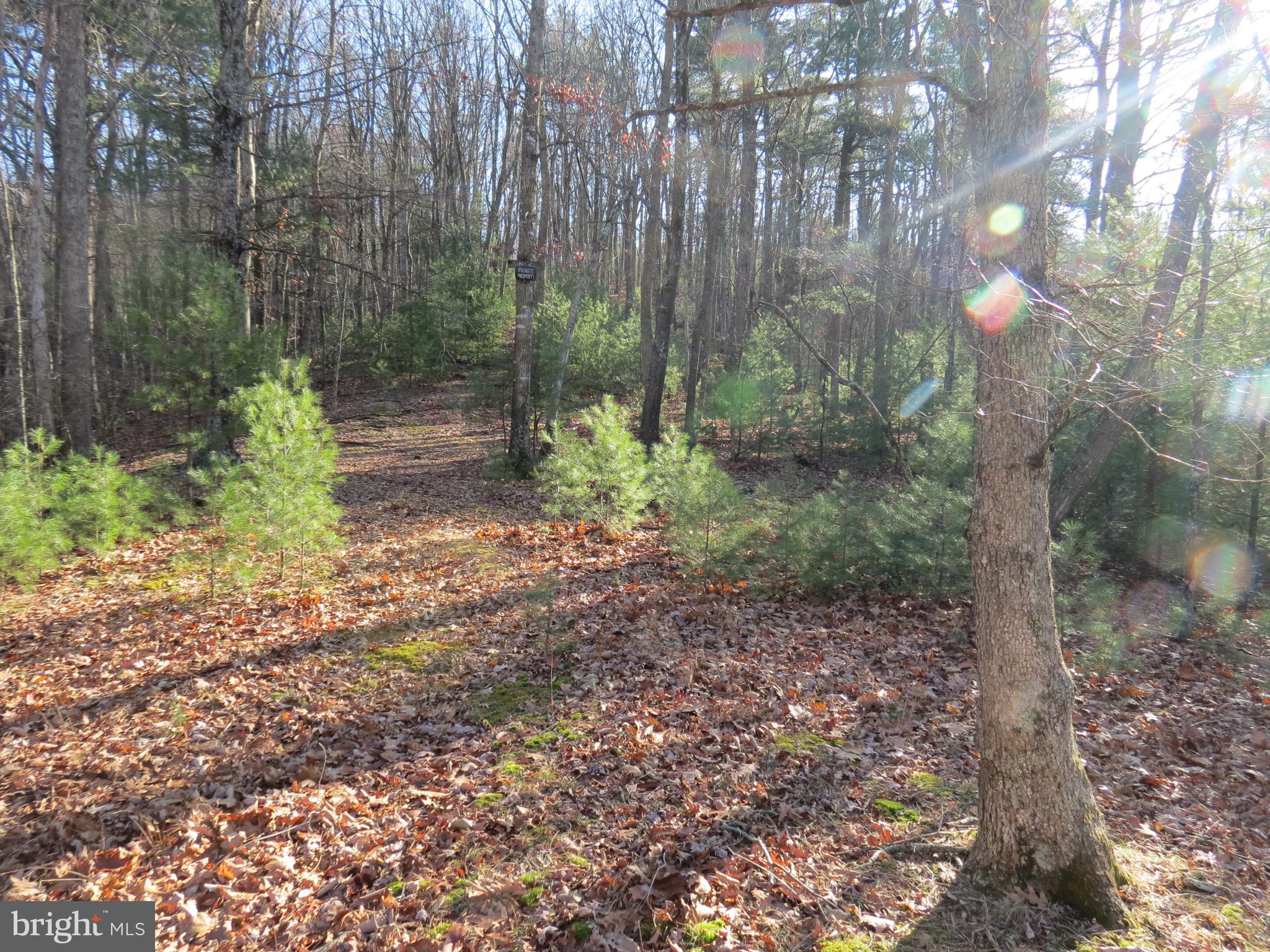 LOST RIVER MOUNTAIN SUBDIVISION - Land