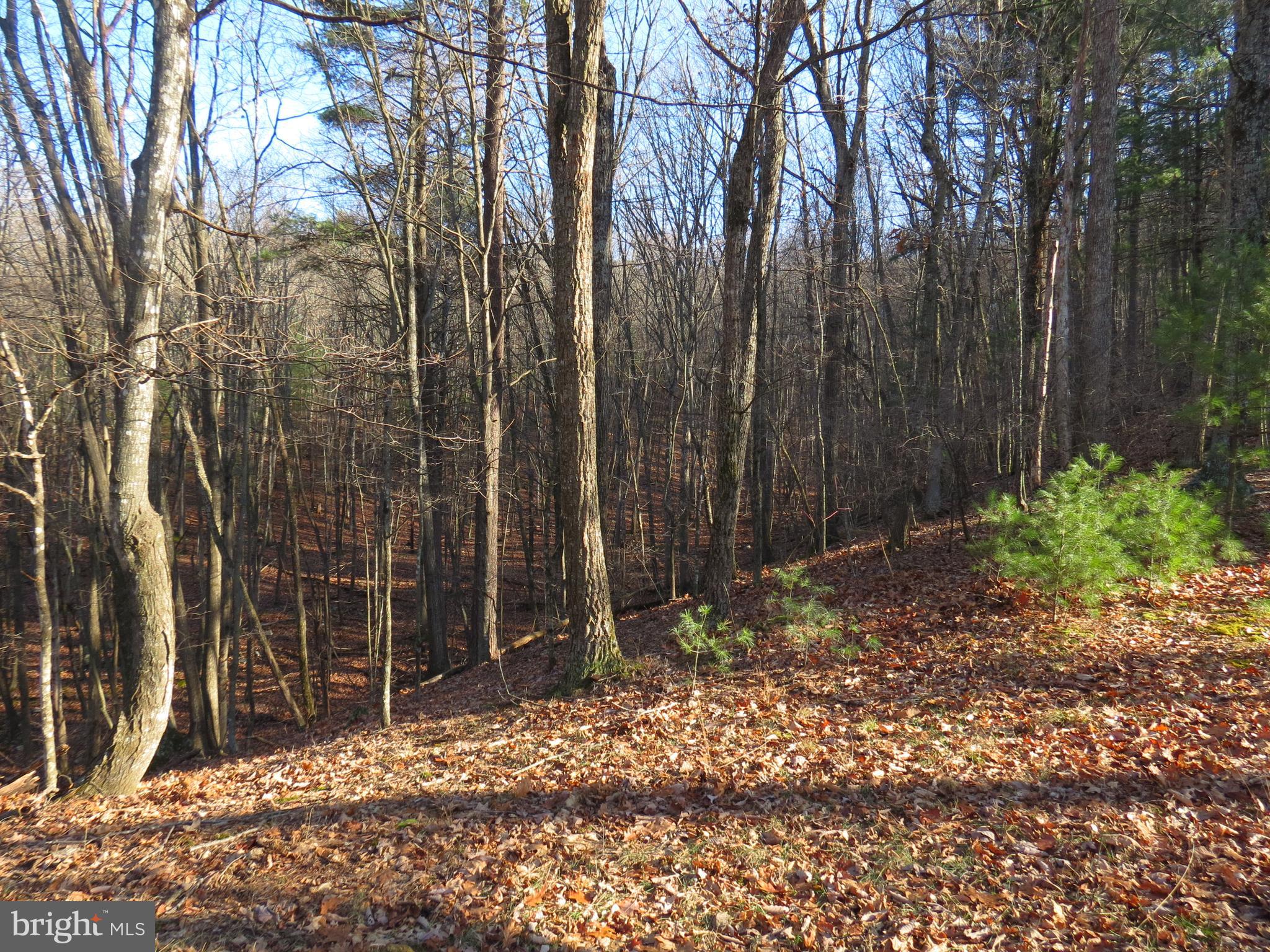 LOST RIVER MOUNTAIN SUBDIVISION - Land