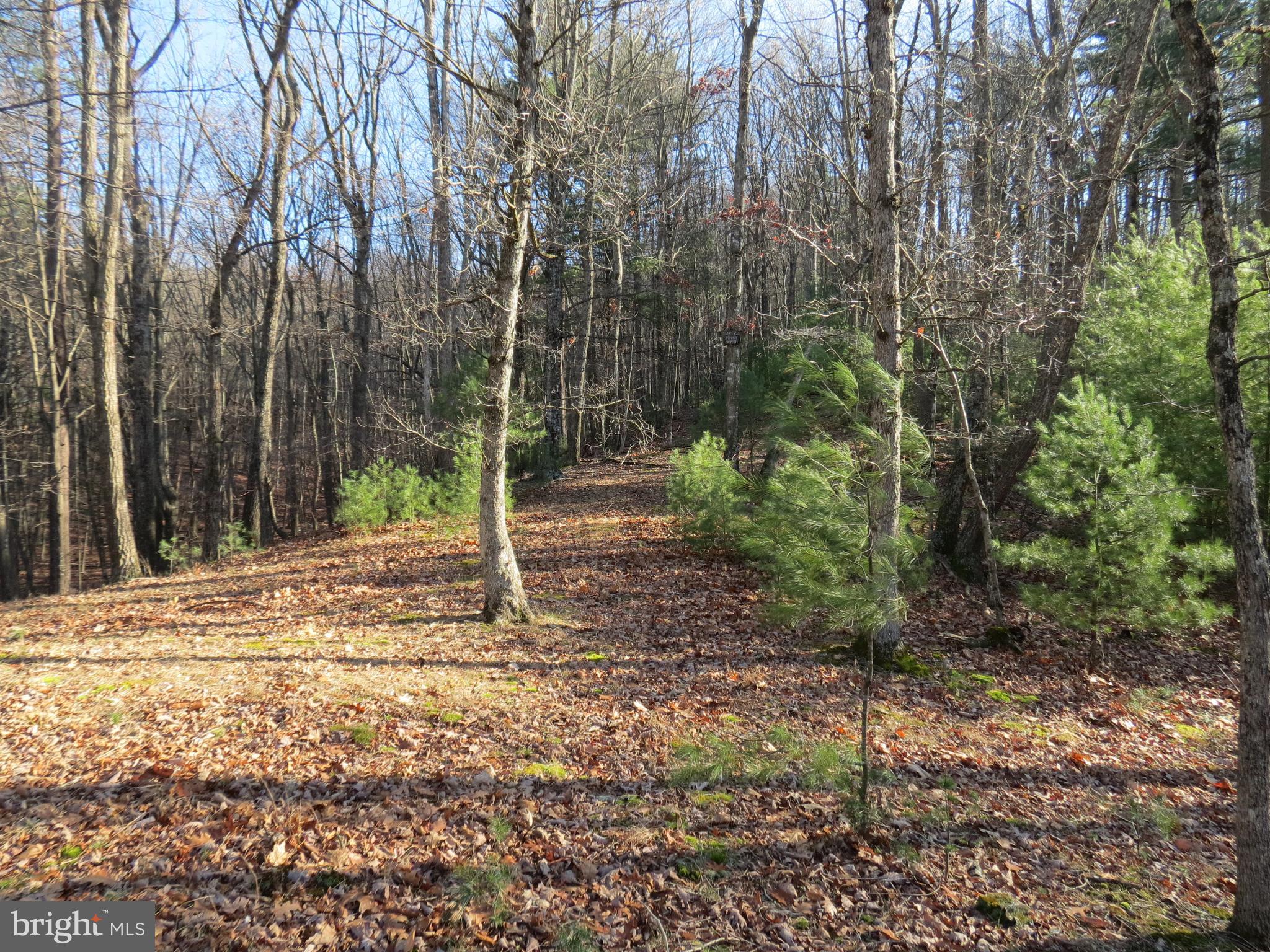 LOST RIVER MOUNTAIN SUBDIVISION - Land