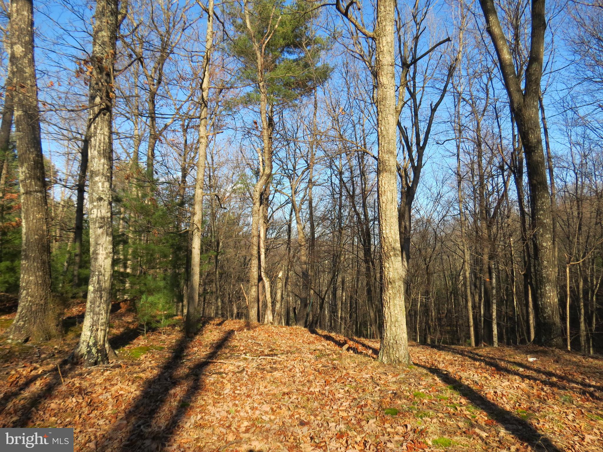 LOST RIVER MOUNTAIN SUBDIVISION - Land