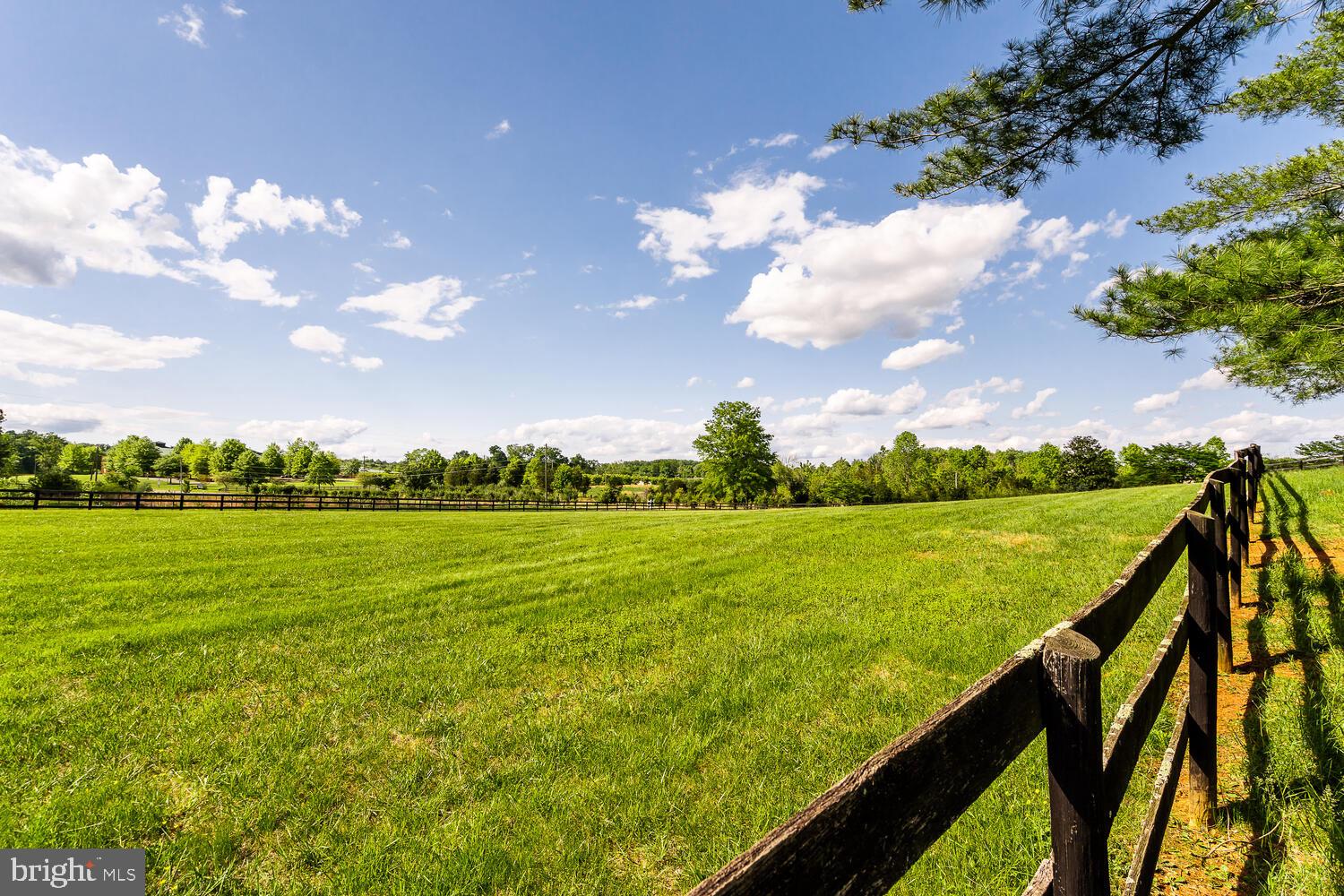 SPRINGDALE - Residential