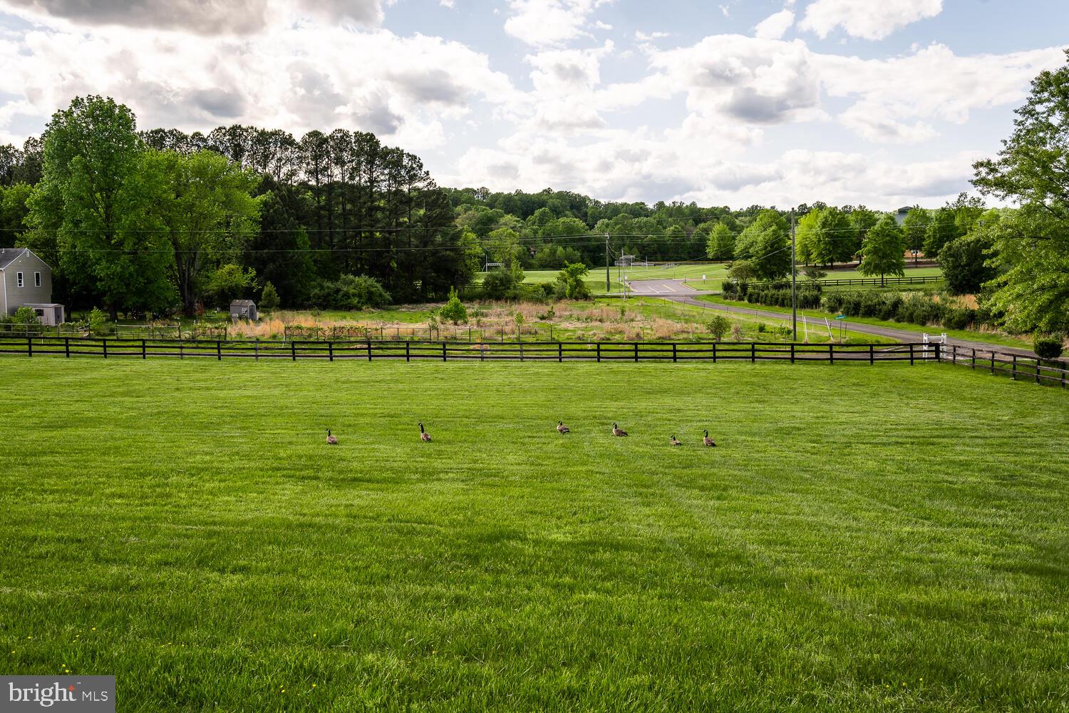 SPRINGDALE - Residential