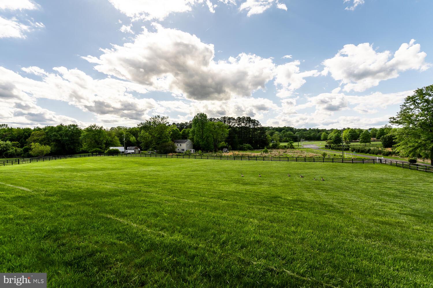 SPRINGDALE - Residential