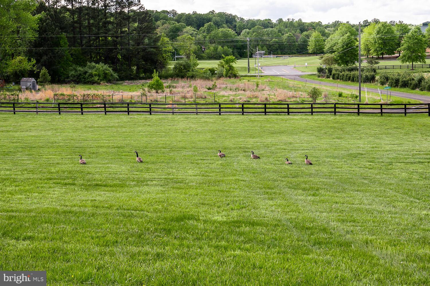 SPRINGDALE - Residential