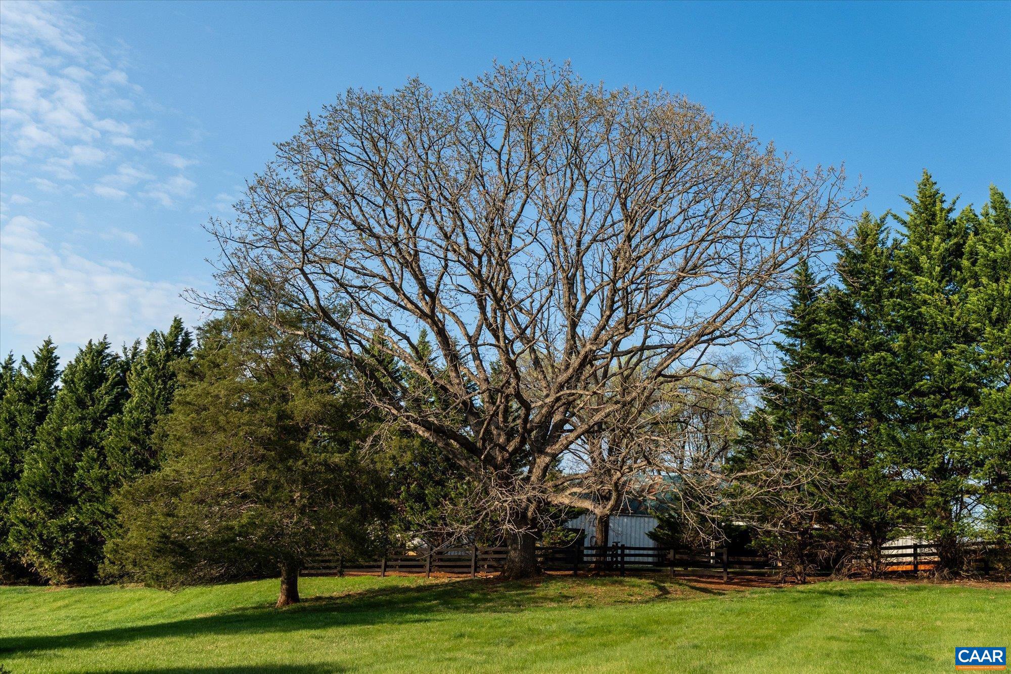THE ROCKS - Residential