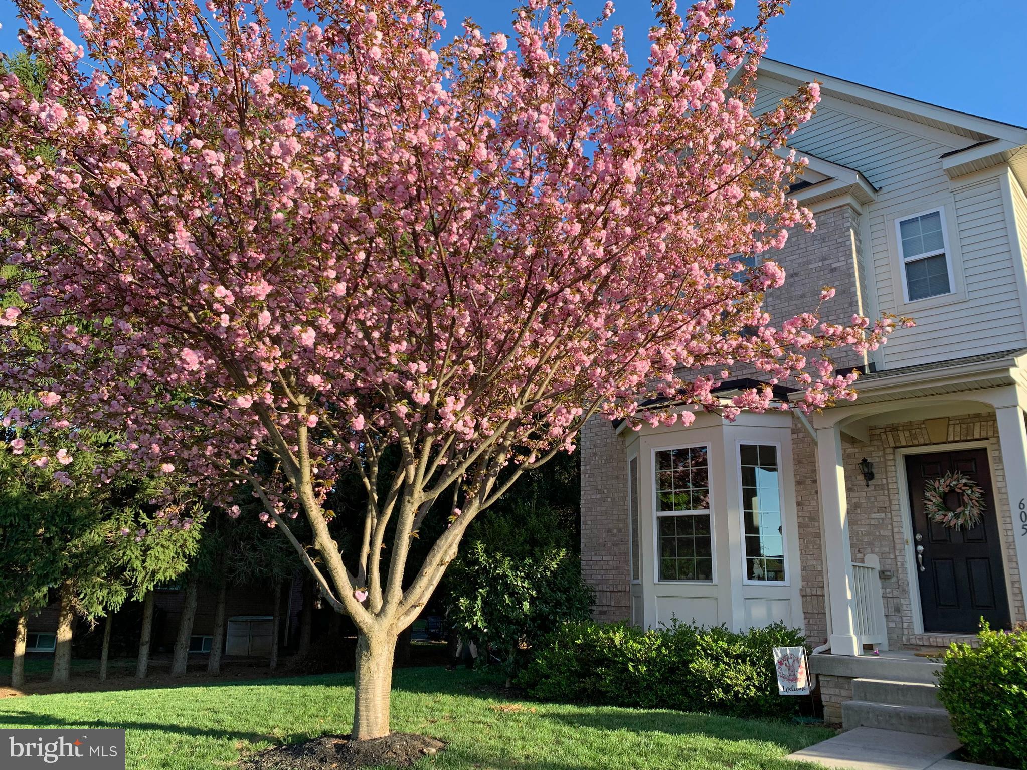 ROLLING HILLS ESTATES - Residential