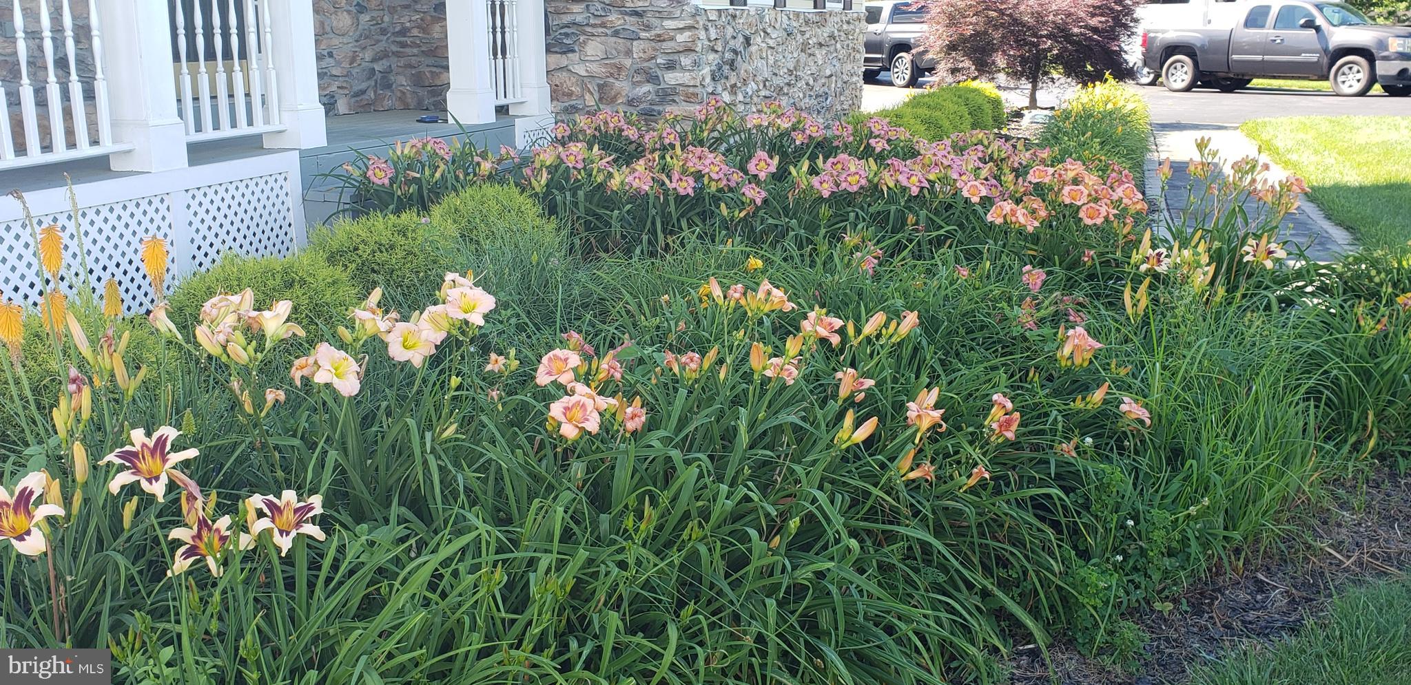 WHEATLAND ESTATES - Residential