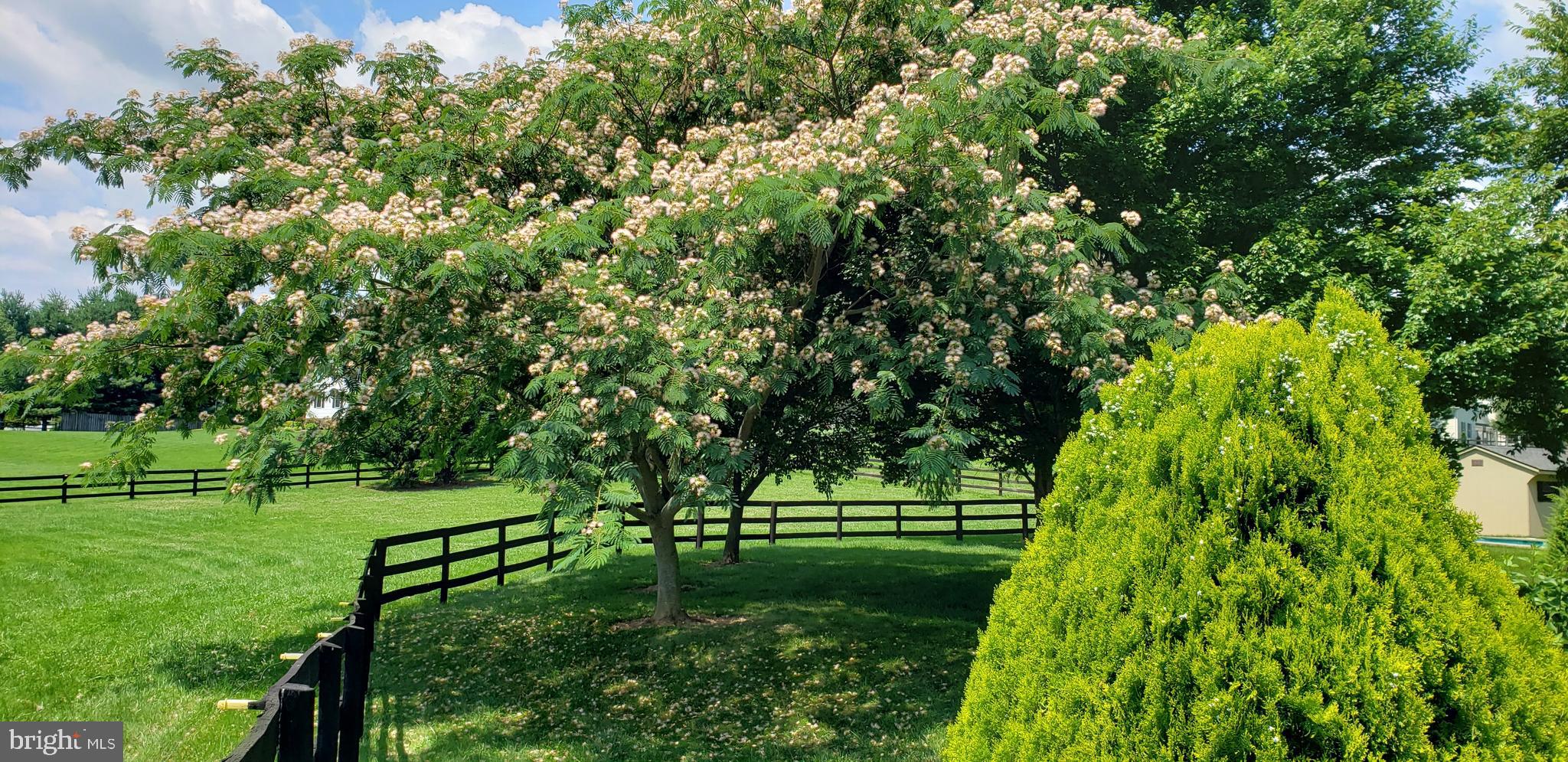 WHEATLAND ESTATES - Residential