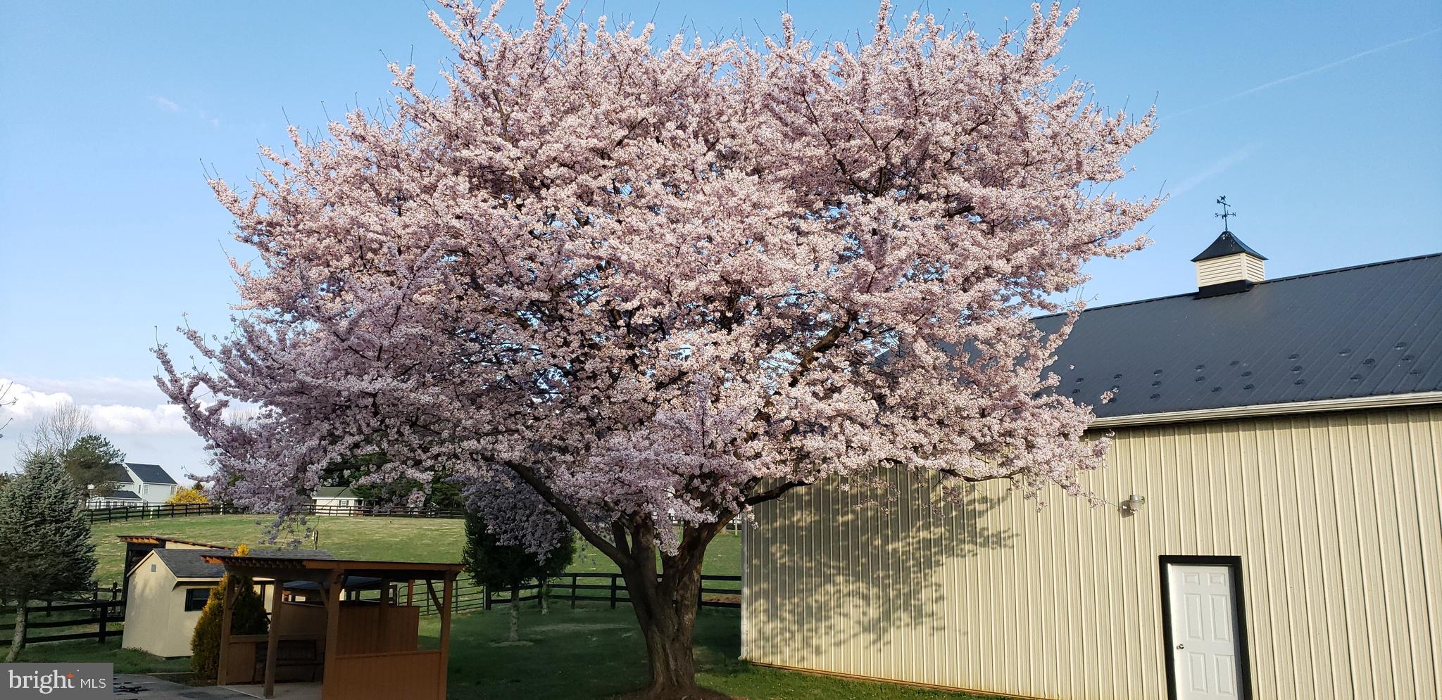 WHEATLAND ESTATES - Residential