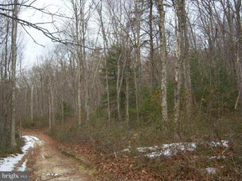 NONE AVAILABLE - Land