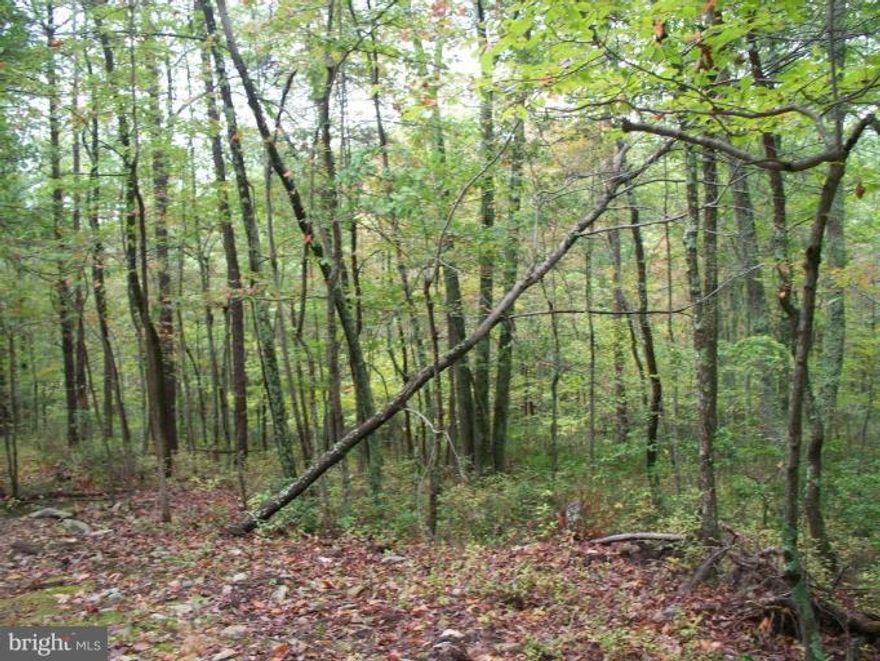 Private and Secluded, Unrestricted Land, near Public Hunting and Cacapon River a nice place to build that hunting cabin or vacation getaway, Call today!
