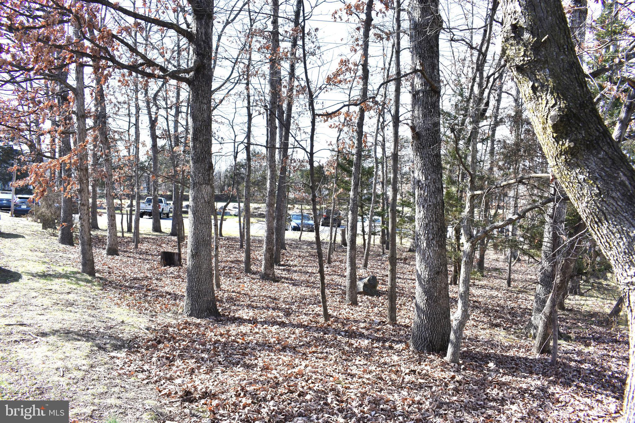 STONECROFT CONDO - Residential Lease