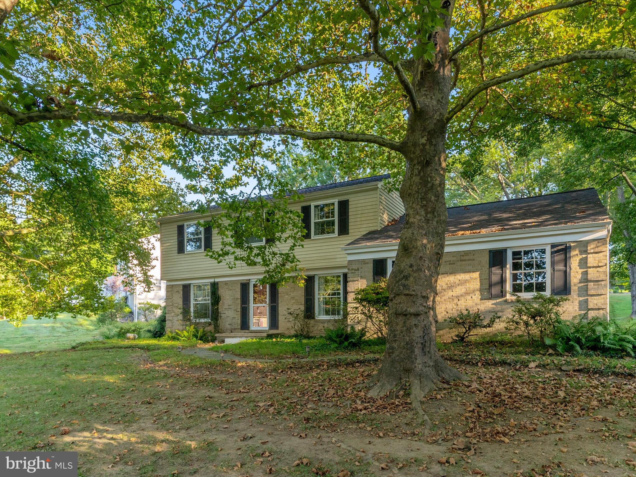 3729 SPRINGFALLS COURT