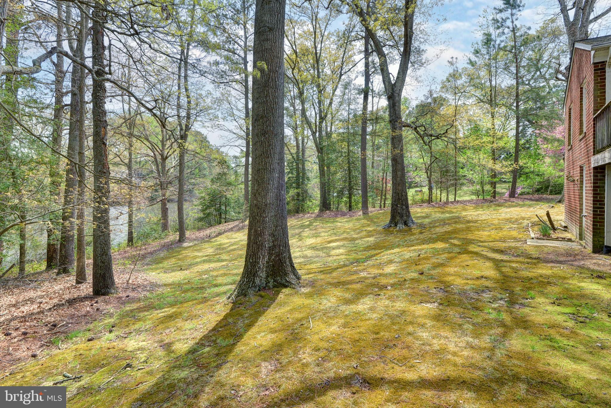 MIRROR LAKE ESTATES - Residential