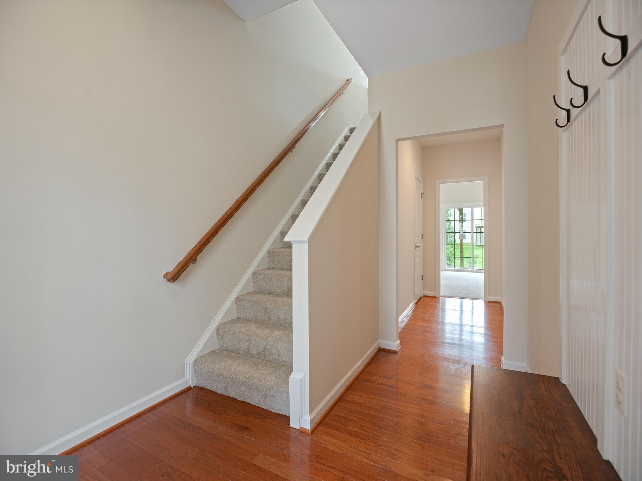 43539 WILD IRIS STREET