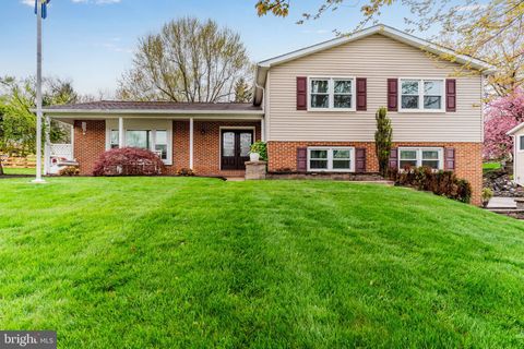 313 INDIAN CREEK DRIVE MECHANICSBURG PA 17050