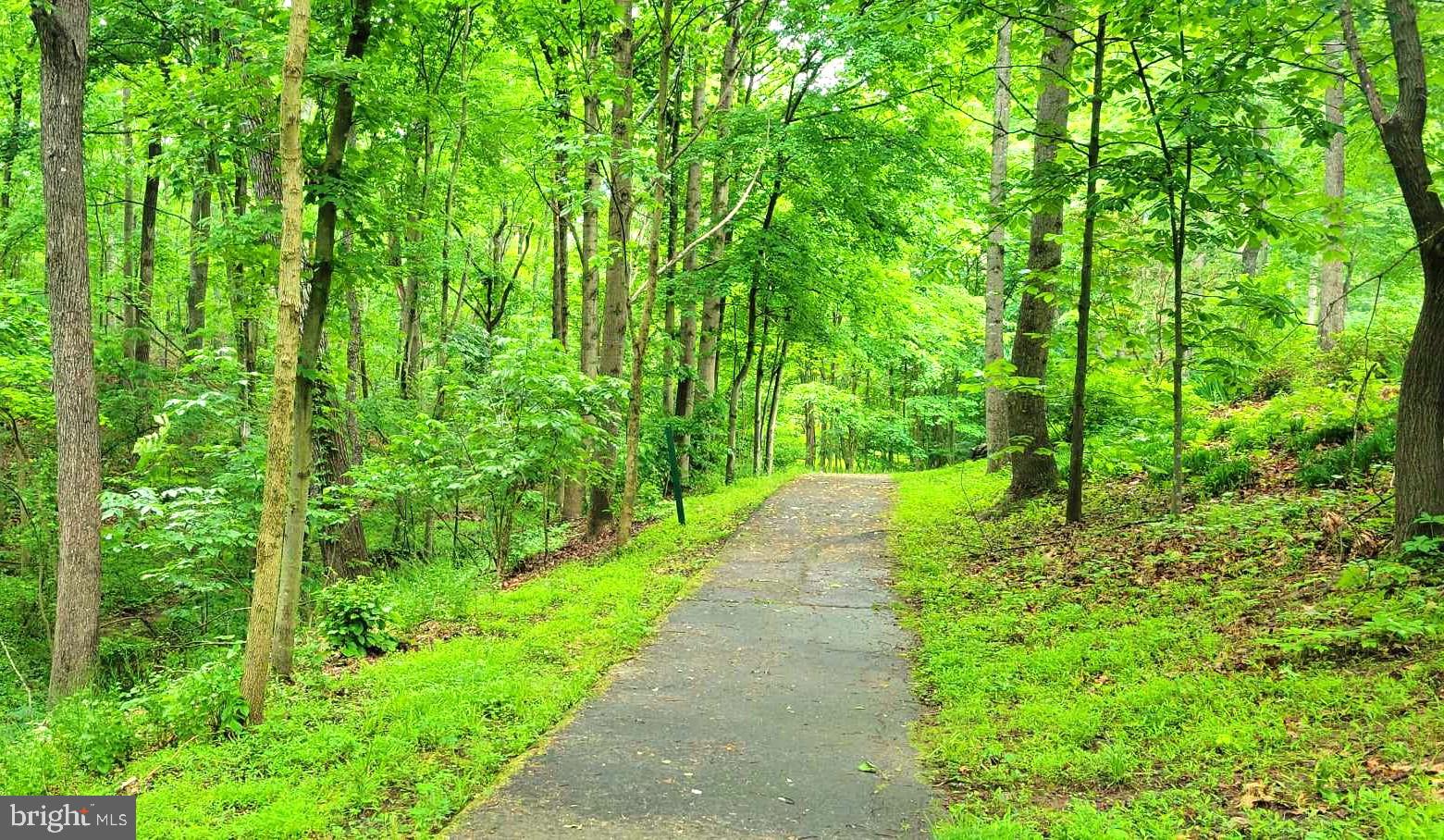 LAKE MANASSAS - Residential