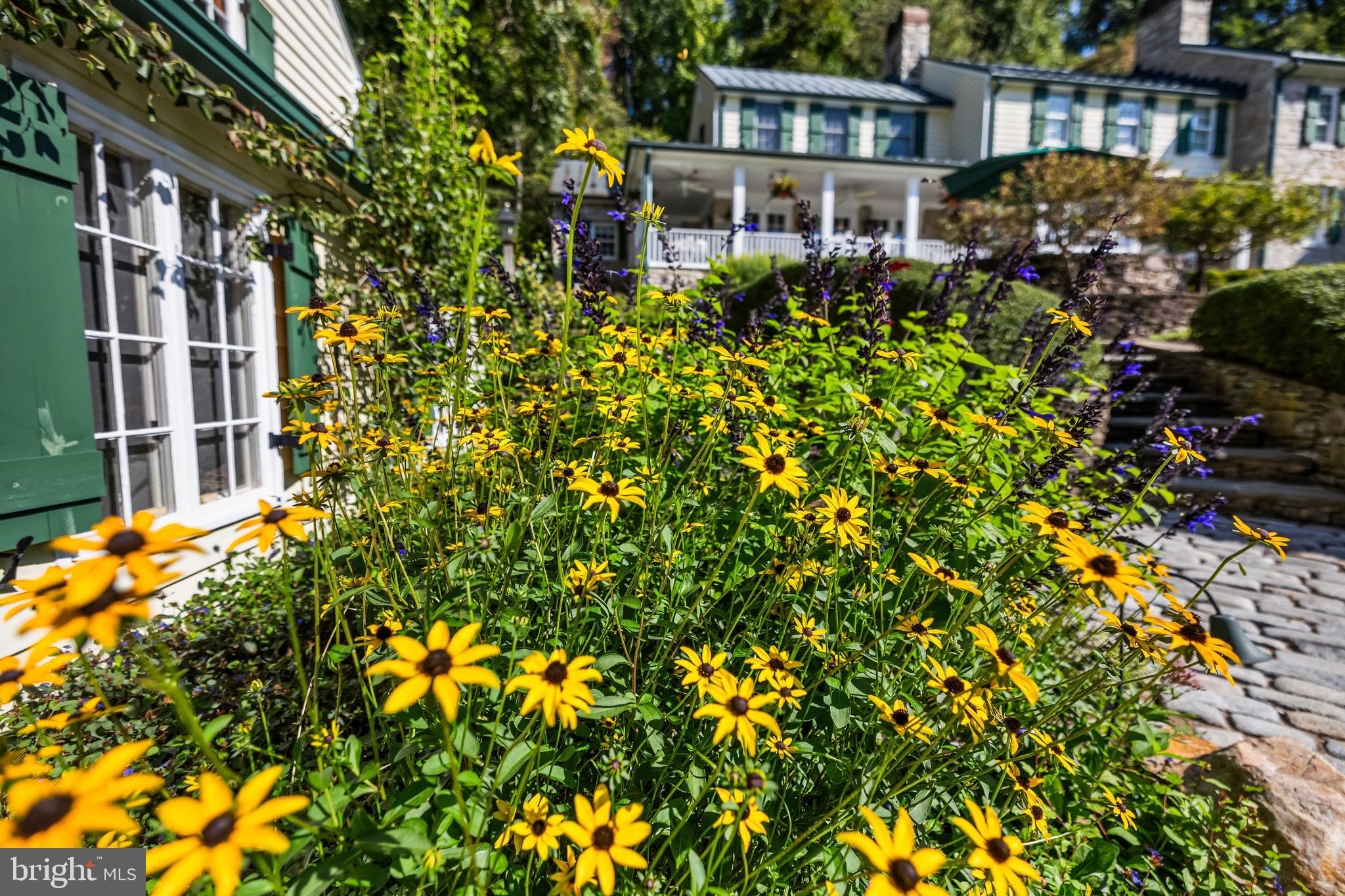 WESTERN RUN - Residential