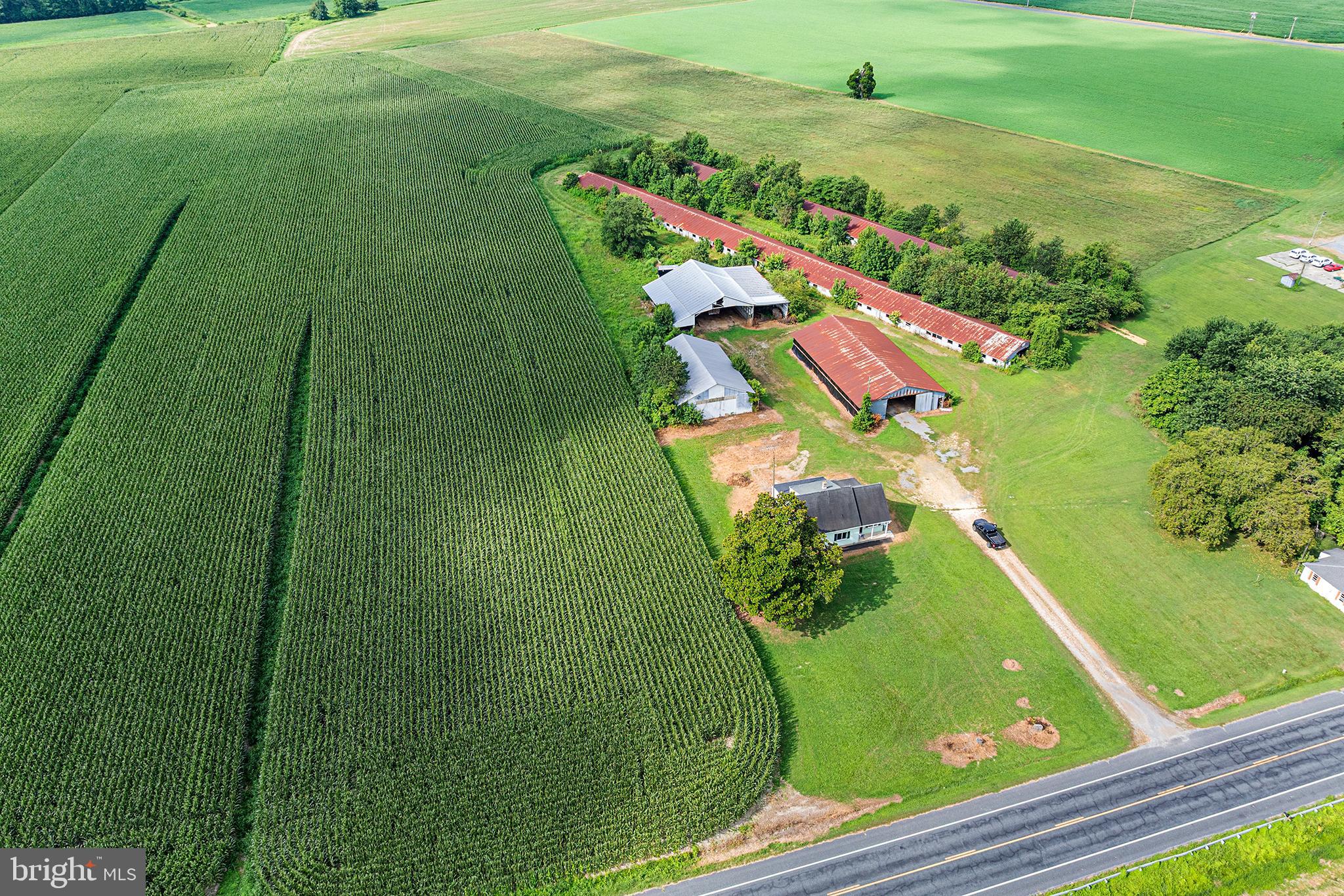 25699 AUCTION ROAD