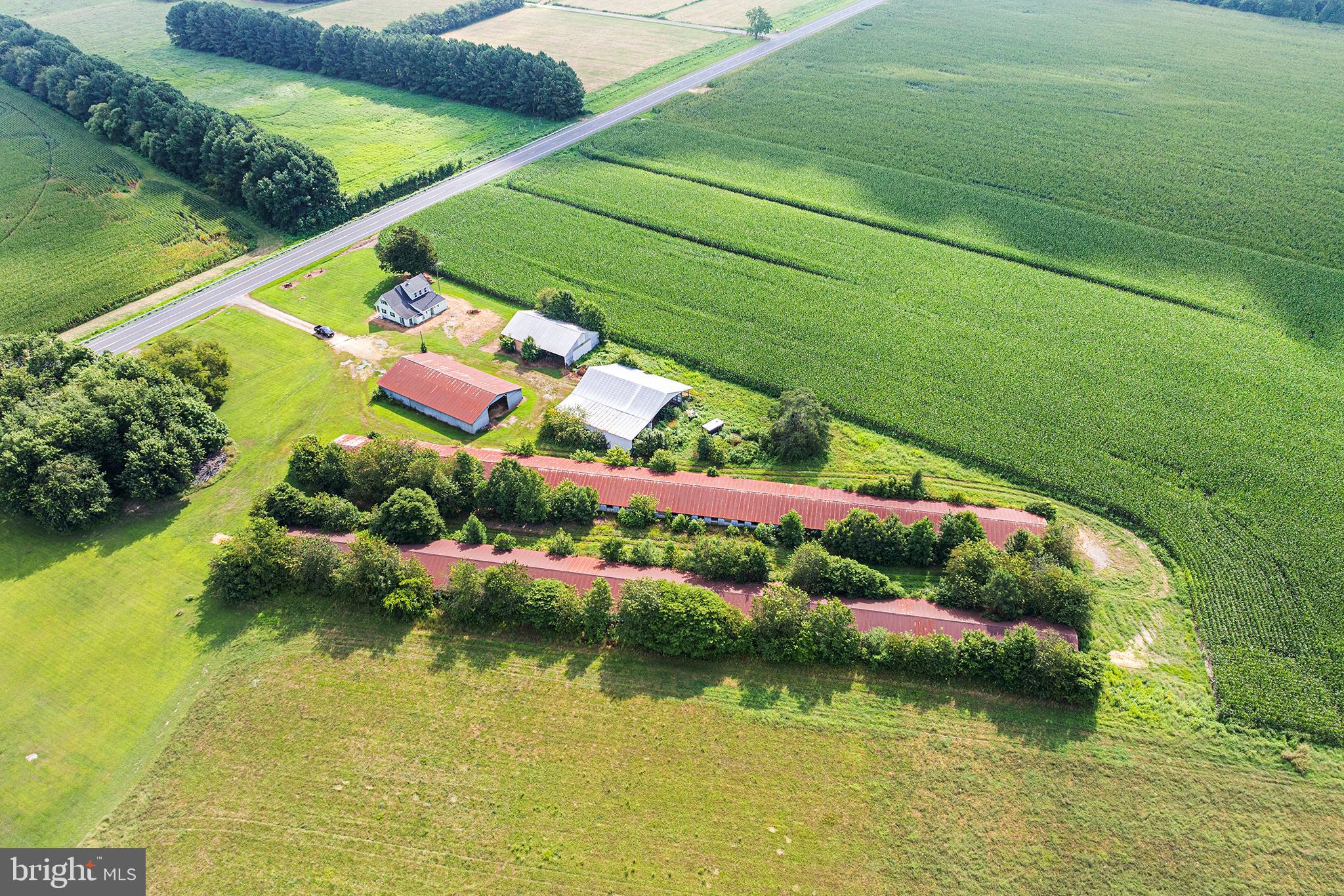 25699 AUCTION ROAD