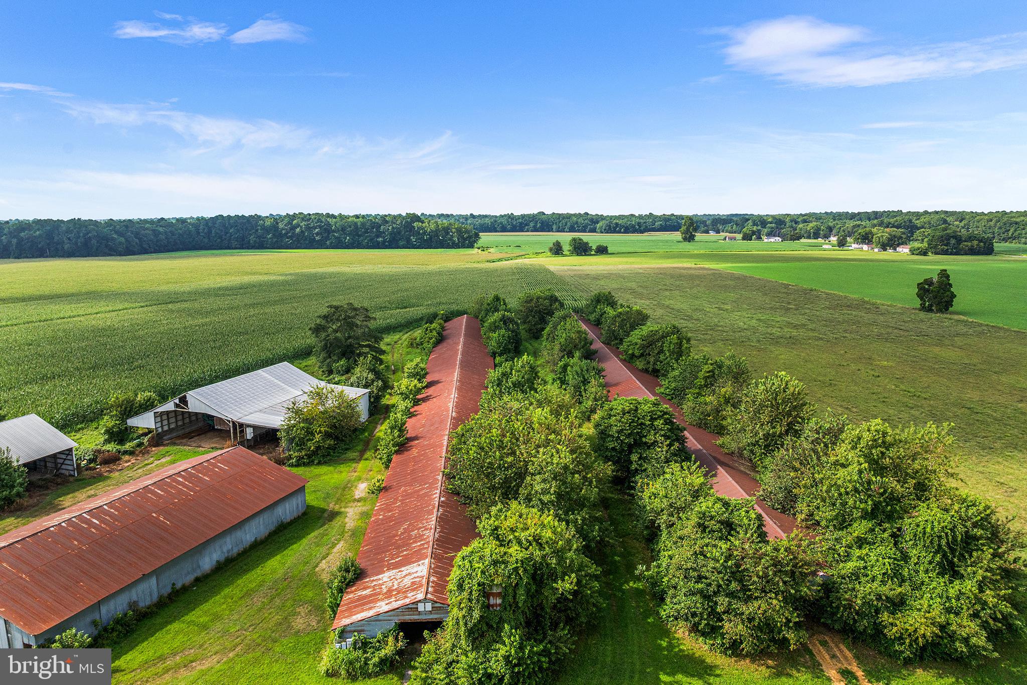 25699 AUCTION ROAD