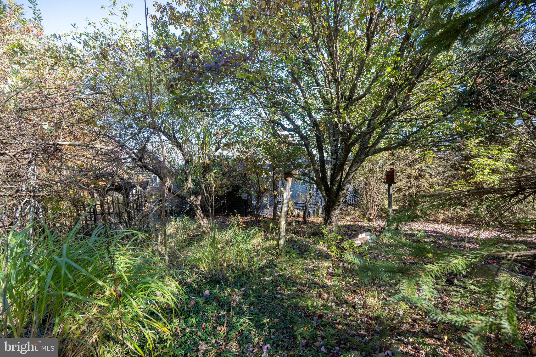 CHESTNUT GROVE - Residential