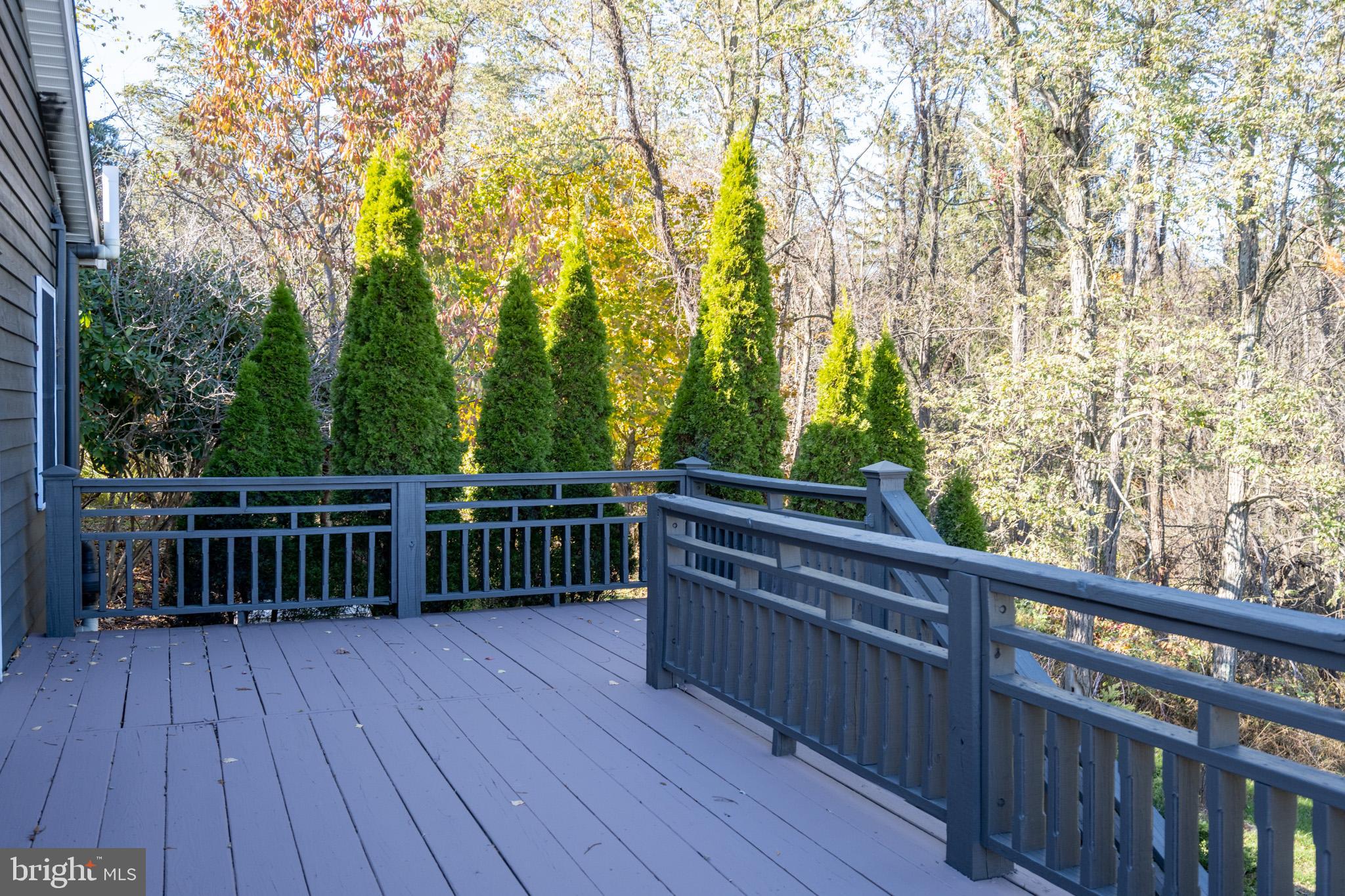 CHESTNUT GROVE - Residential