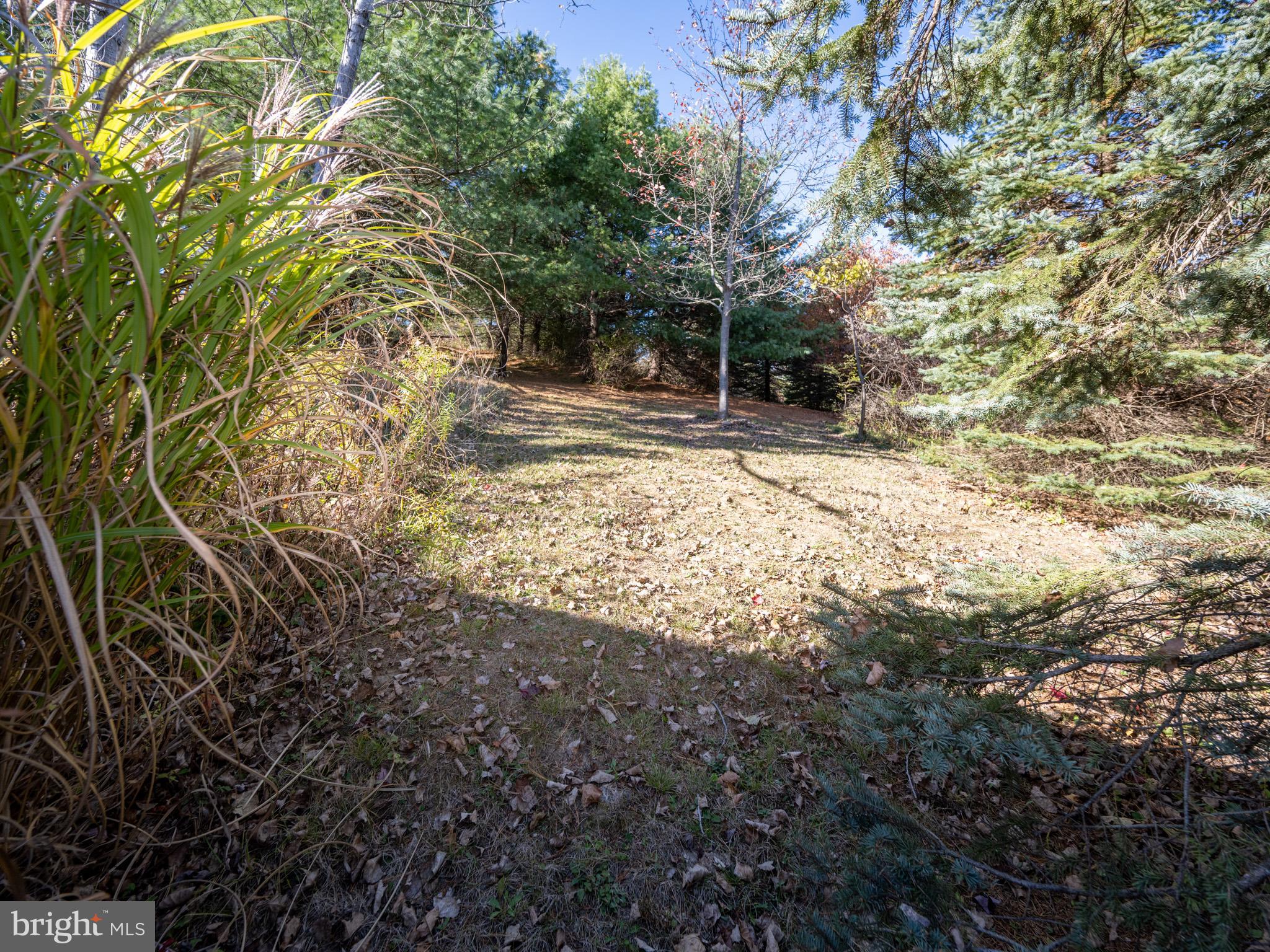 CHESTNUT GROVE - Residential