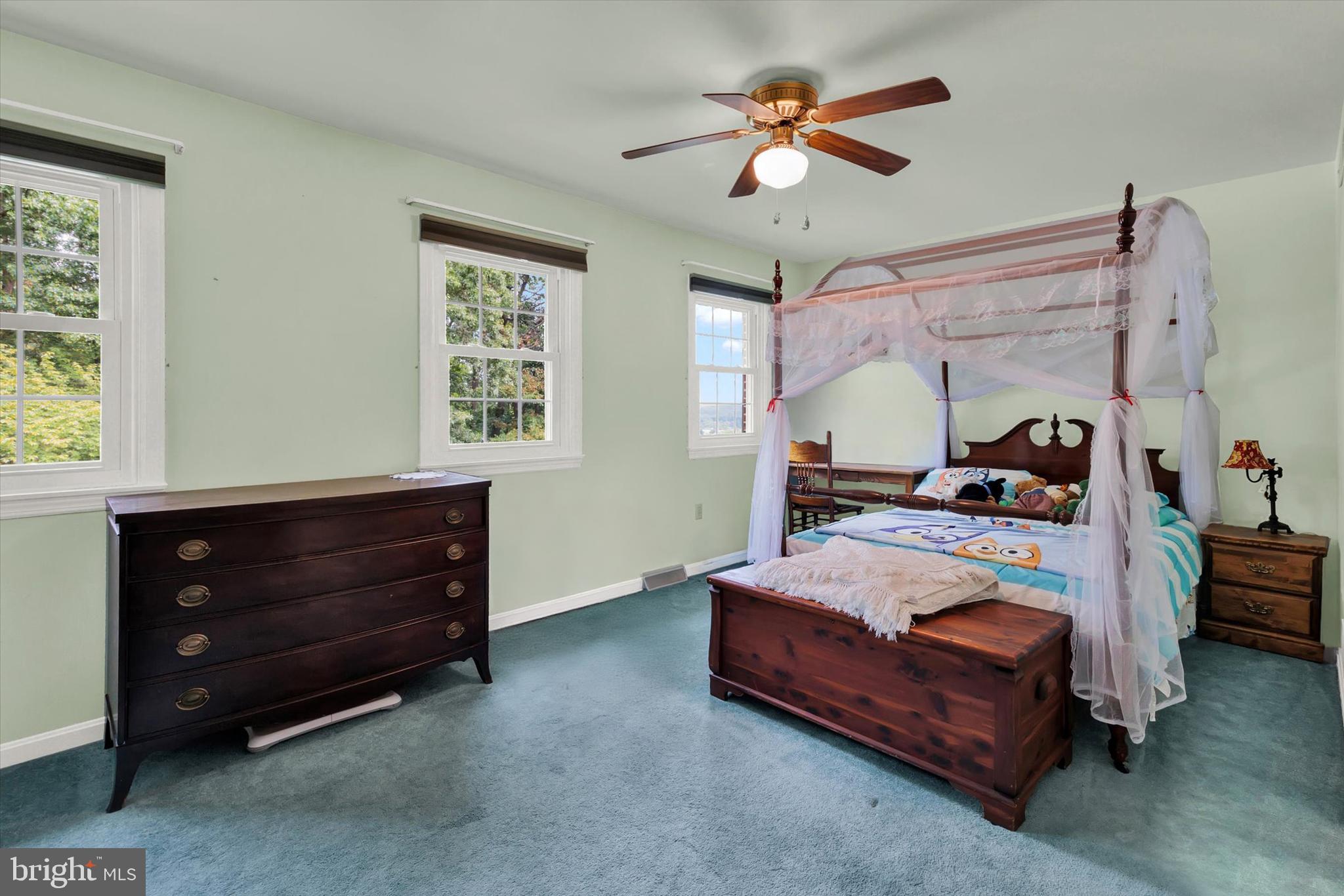 SPRINGETTSBURY TWP - Residential