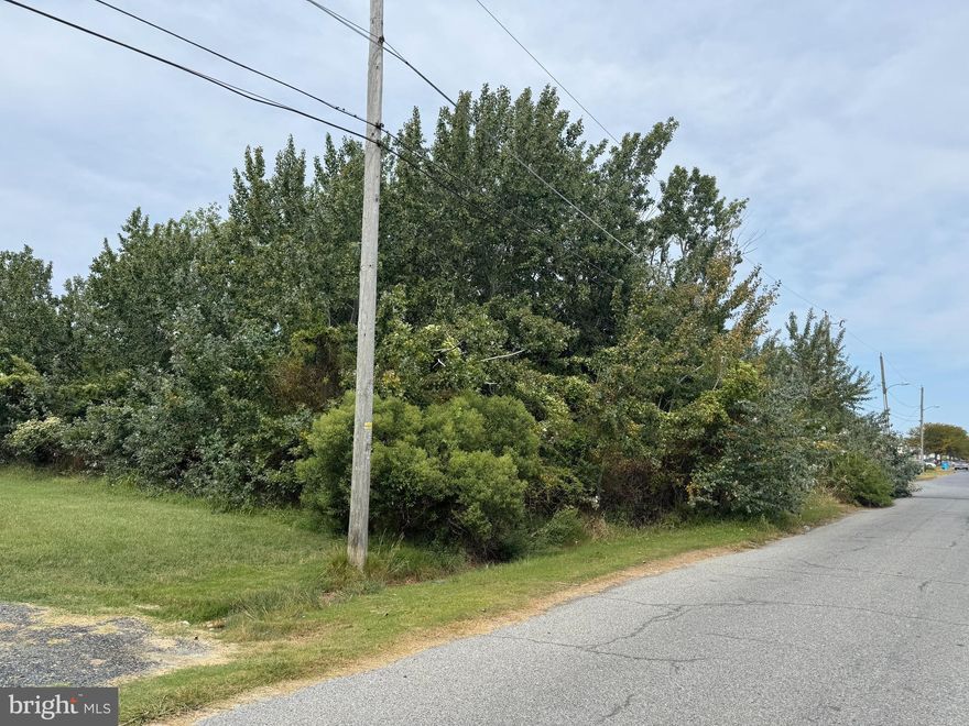 Wooded land in Crisfield.  Buyer/buyer agent to do due diligence.  Sold as is, where is.  Close to marina and downtown.