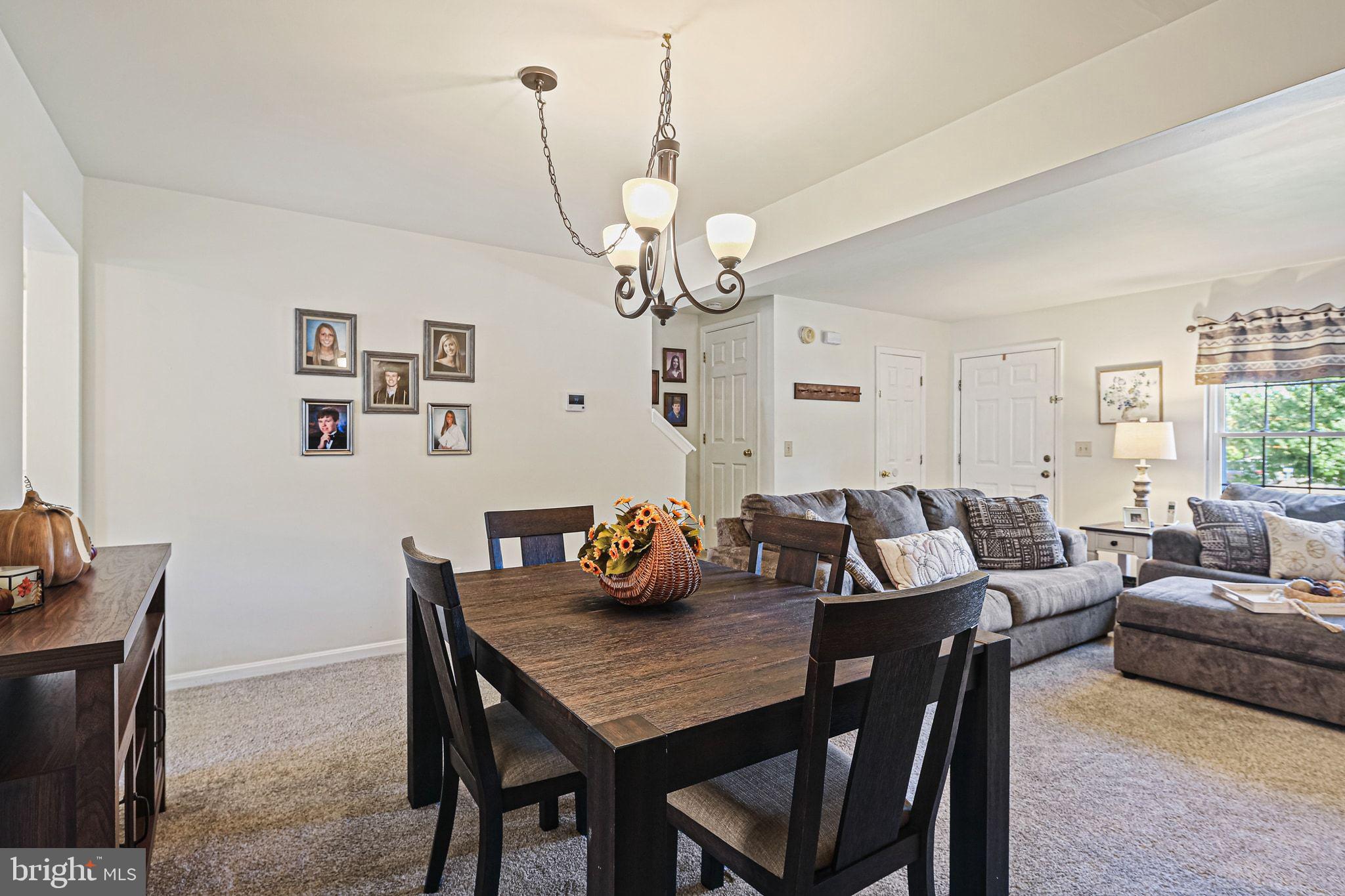 234 HUNTERS RUN TERRACE